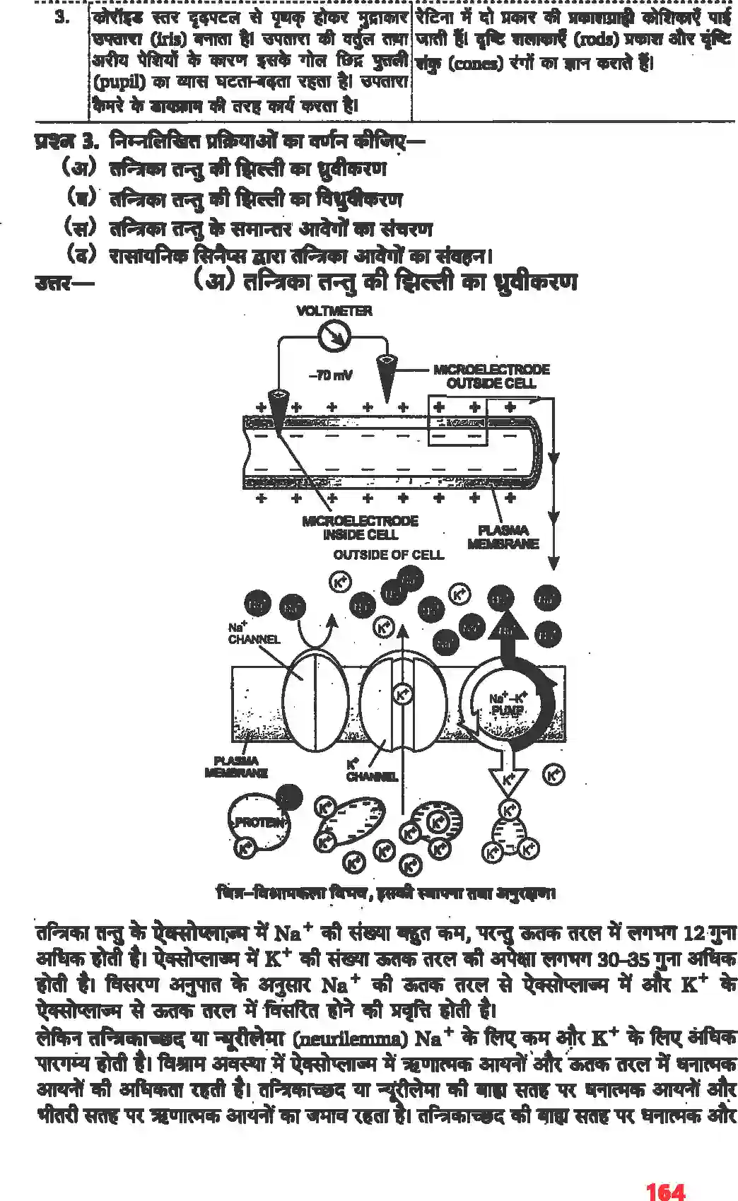 NCERT-Solution-Class-11-जीव-विज्ञान-तंत्रिकीय-नियंत्रण-एवं-समन्वय-4668-page-8