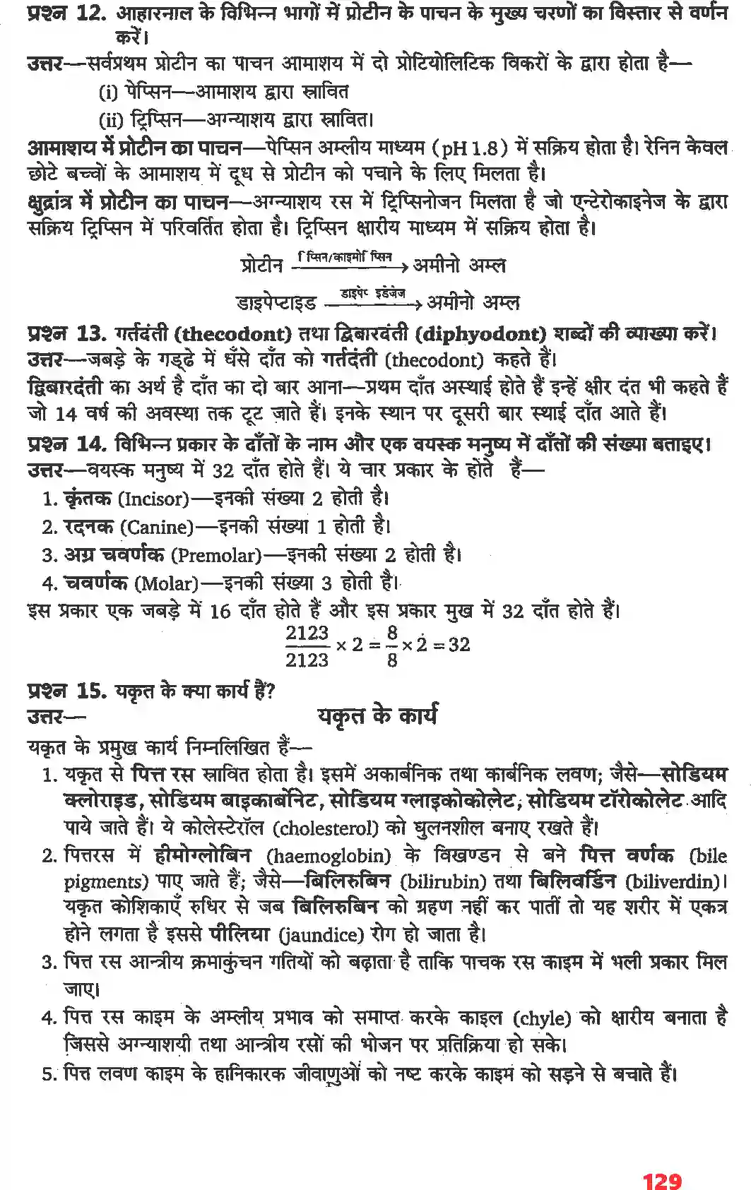 NCERT-Solution-Class-11-जीव-विज्ञान-पाचन-एवं-अवशोषण-4663-page-4