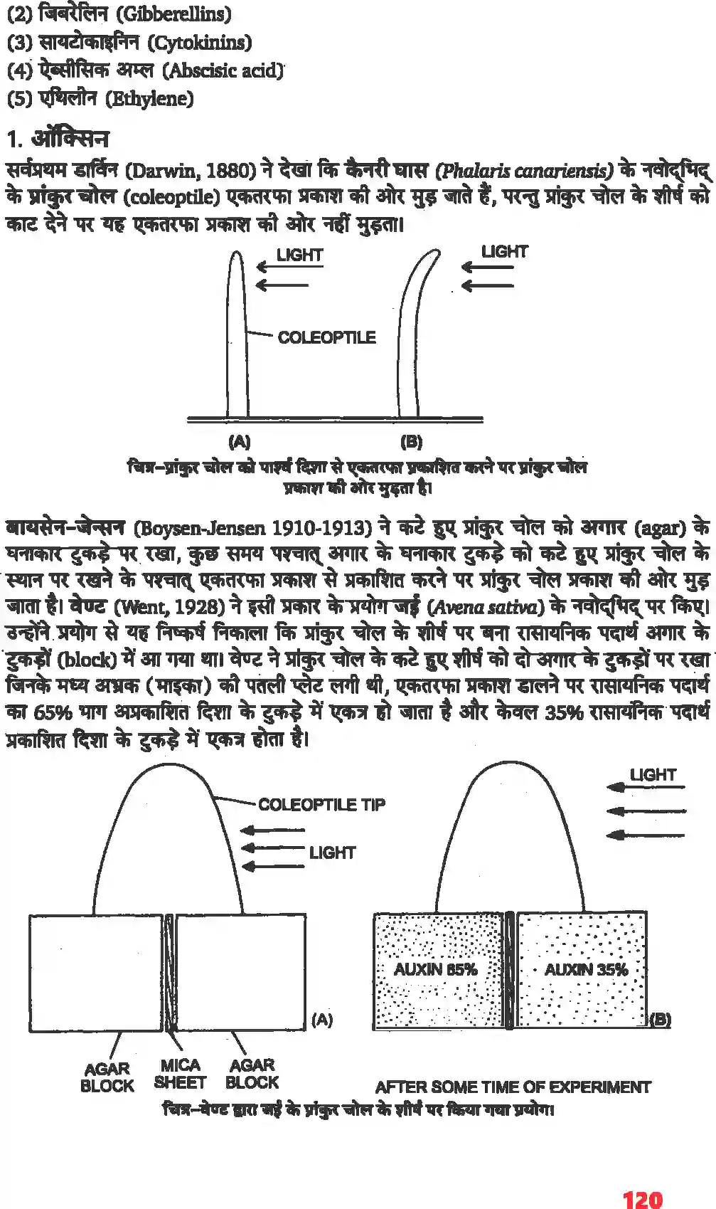 NCERT-Solution-Class-11-जीव-विज्ञान-पादप-वृद्धि-एवं-परिवर्धन-4662-page-5