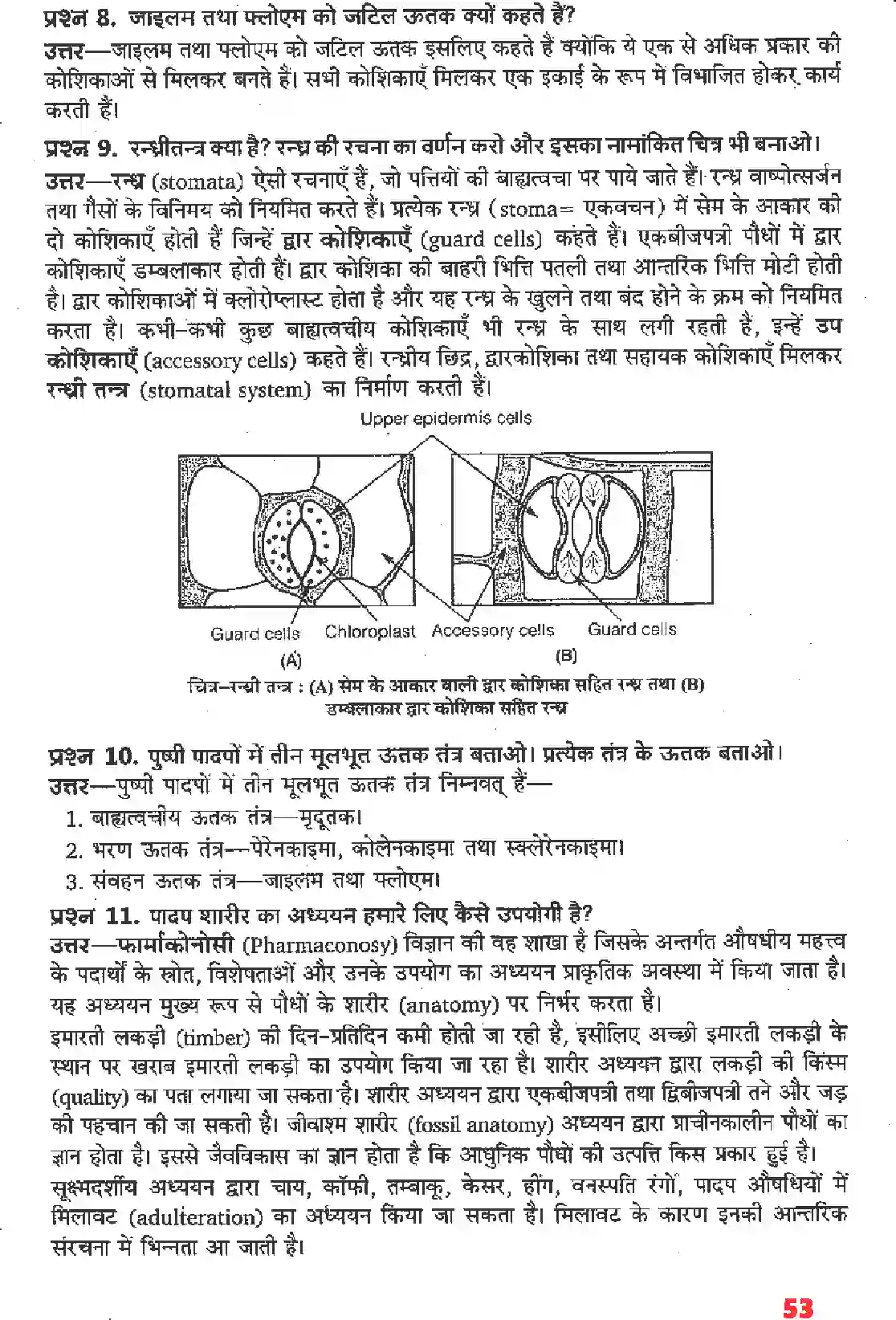 NCERT-Solution-Class-11-जीव-विज्ञान-पुष्पी-पादपों-का-शारीर-4653-page-7
