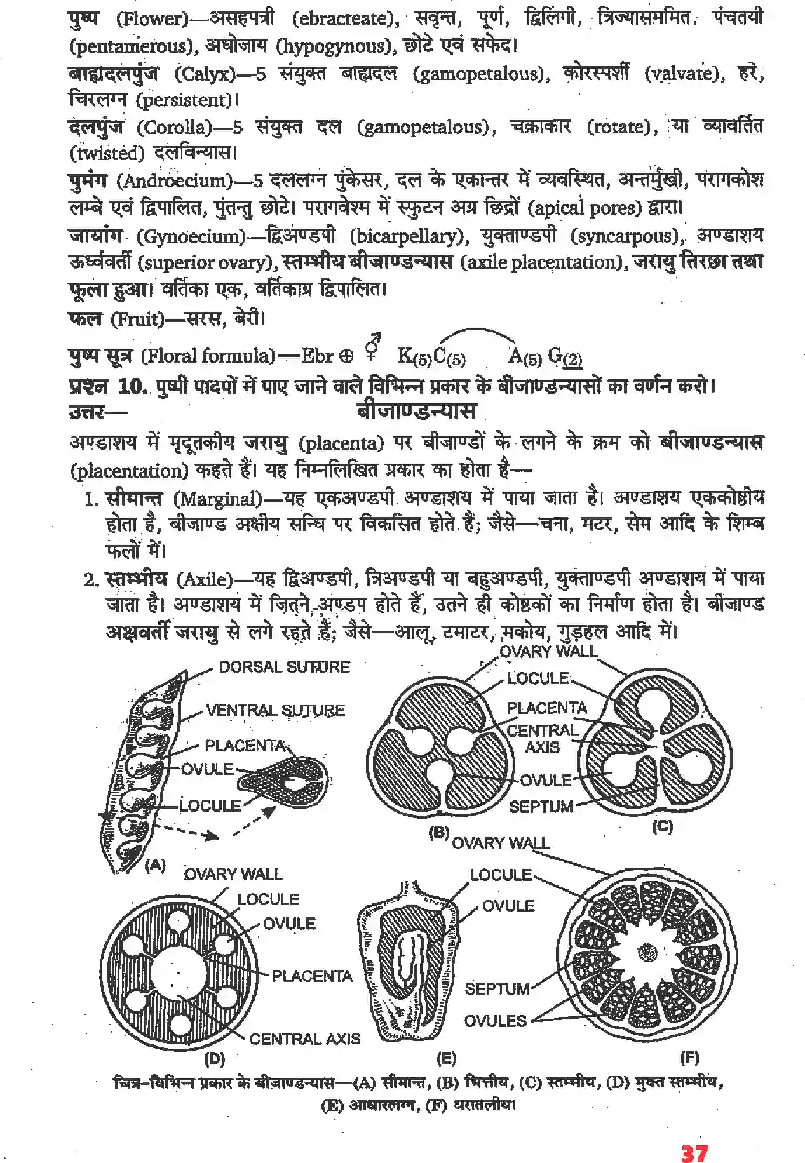 NCERT-Solution-Class-11-जीव-विज्ञान-पुष्पी-पादपों-की-आकारिकी-4652-page-15