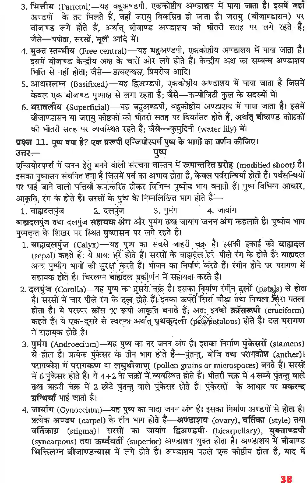 NCERT-Solution-Class-11-जीव-विज्ञान-पुष्पी-पादपों-की-आकारिकी-4652-page-16