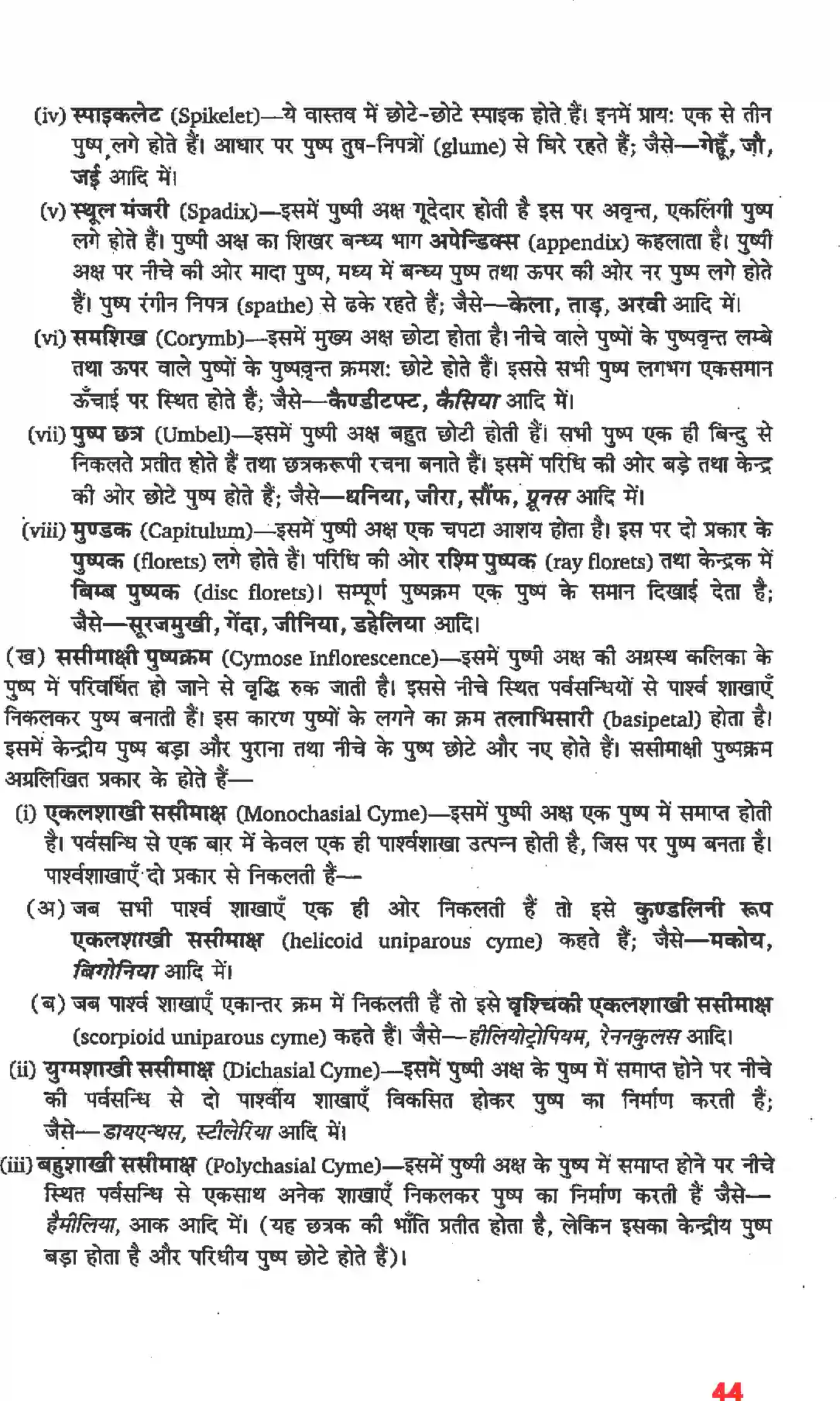 NCERT-Solution-Class-11-जीव-विज्ञान-पुष्पी-पादपों-की-आकारिकी-4652-page-22