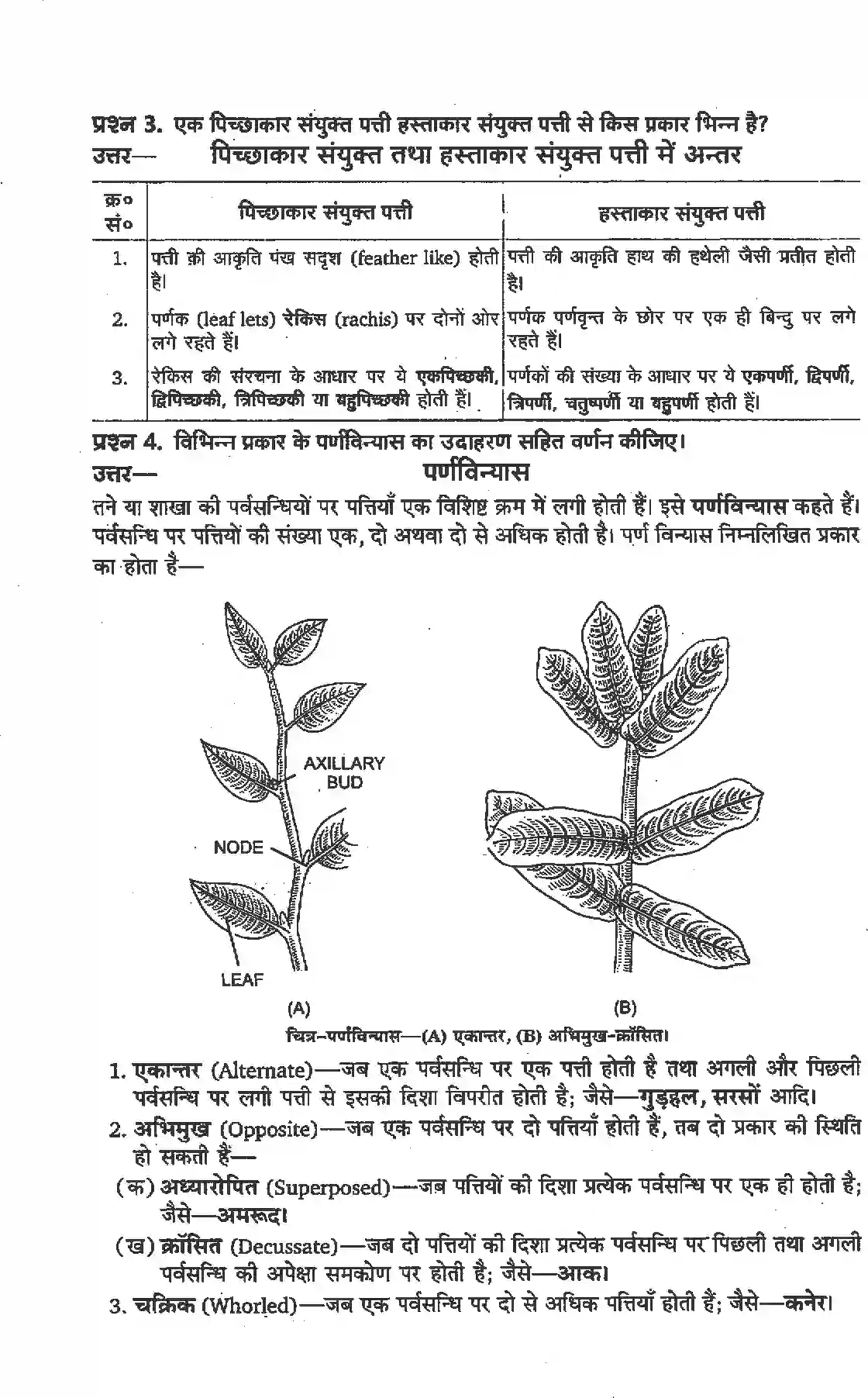 NCERT-Solution-Class-11-जीव-विज्ञान-पुष्पी-पादपों-की-आकारिकी-4652-page-3