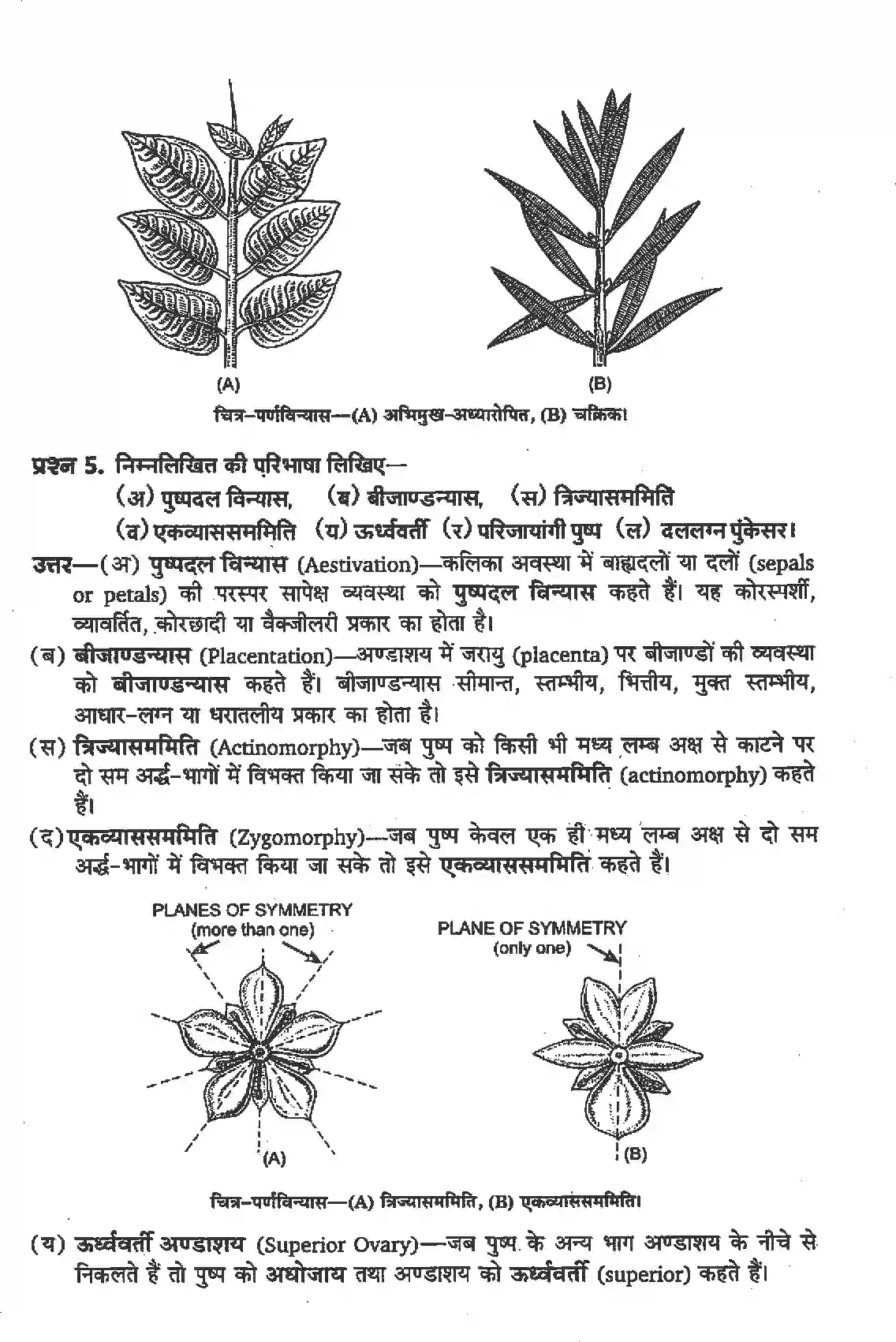 NCERT-Solution-Class-11-जीव-विज्ञान-पुष्पी-पादपों-की-आकारिकी-4652-page-4