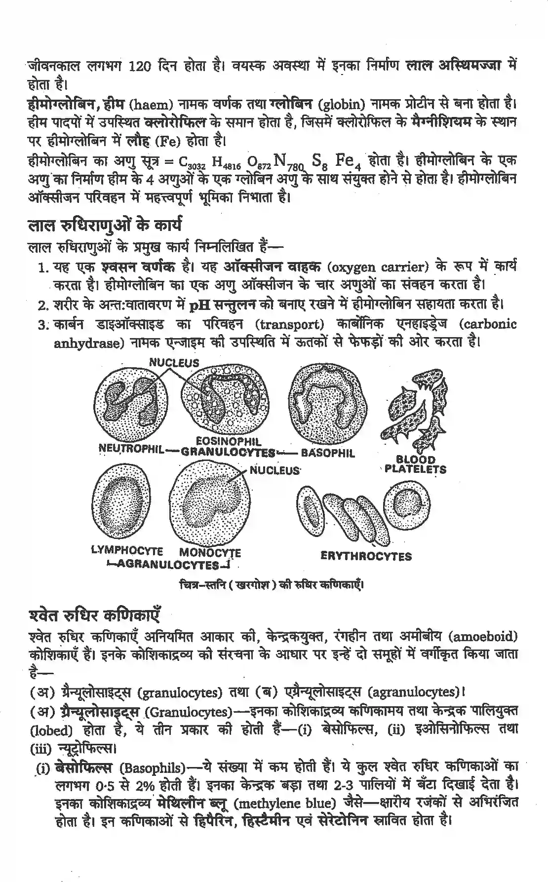 NCERT-Solution-Class-11-जीव-विज्ञान-प्राणियों-में-संरचनात्मक-संगठन-4654-page-4
