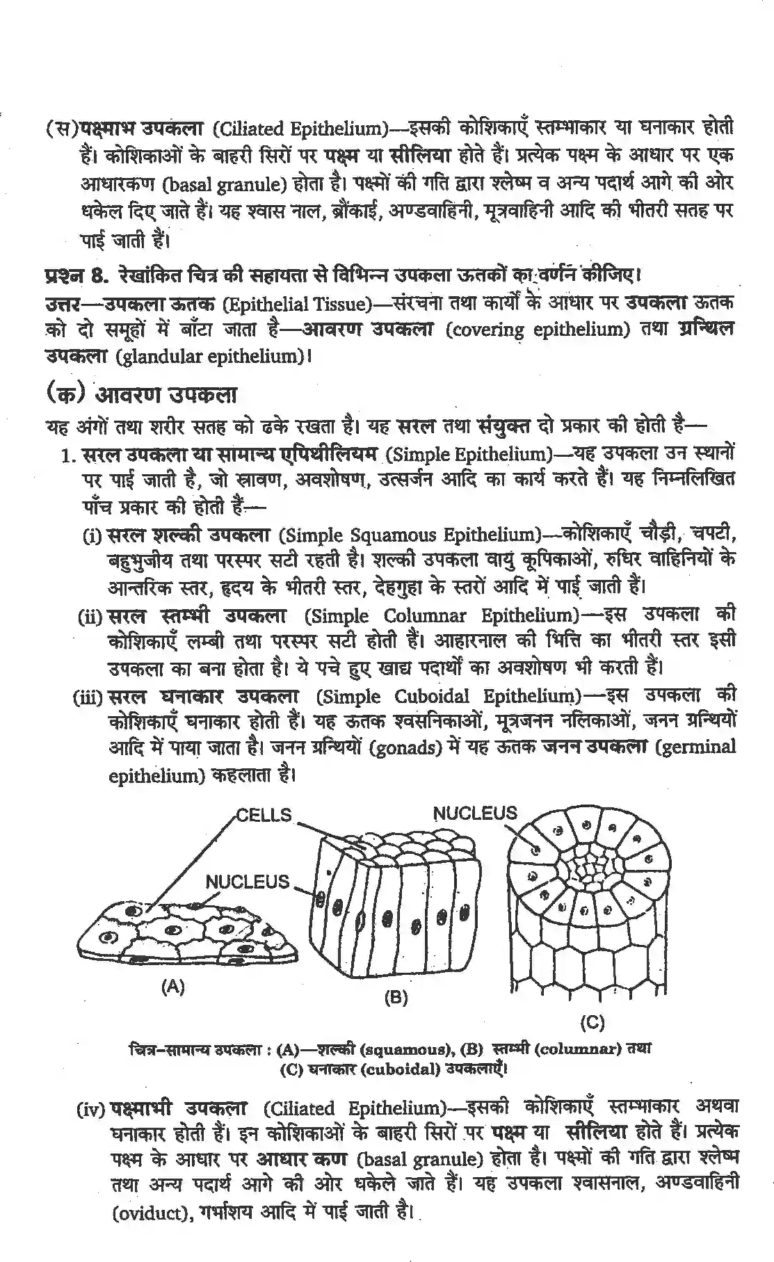 NCERT-Solution-Class-11-जीव-विज्ञान-प्राणियों-में-संरचनात्मक-संगठन-4654-page-6