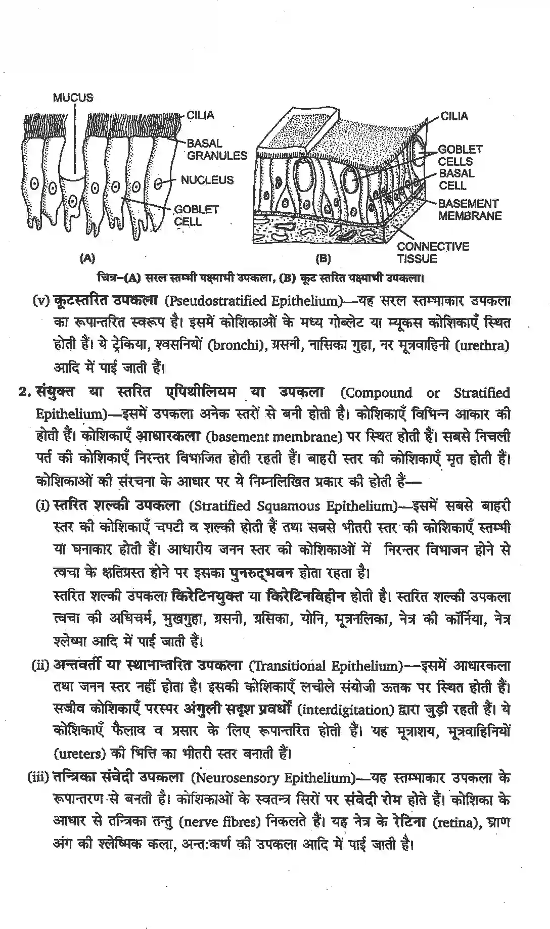 NCERT-Solution-Class-11-जीव-विज्ञान-प्राणियों-में-संरचनात्मक-संगठन-4654-page-7