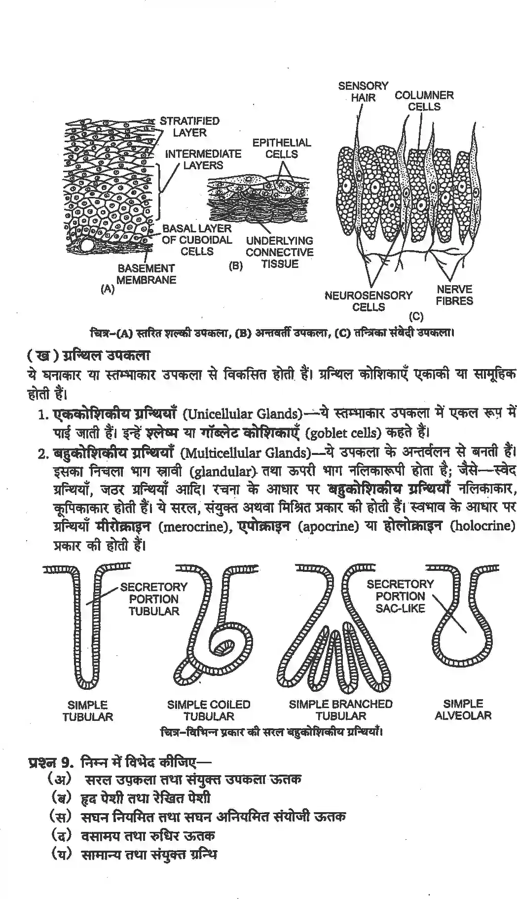 NCERT-Solution-Class-11-जीव-विज्ञान-प्राणियों-में-संरचनात्मक-संगठन-4654-page-8