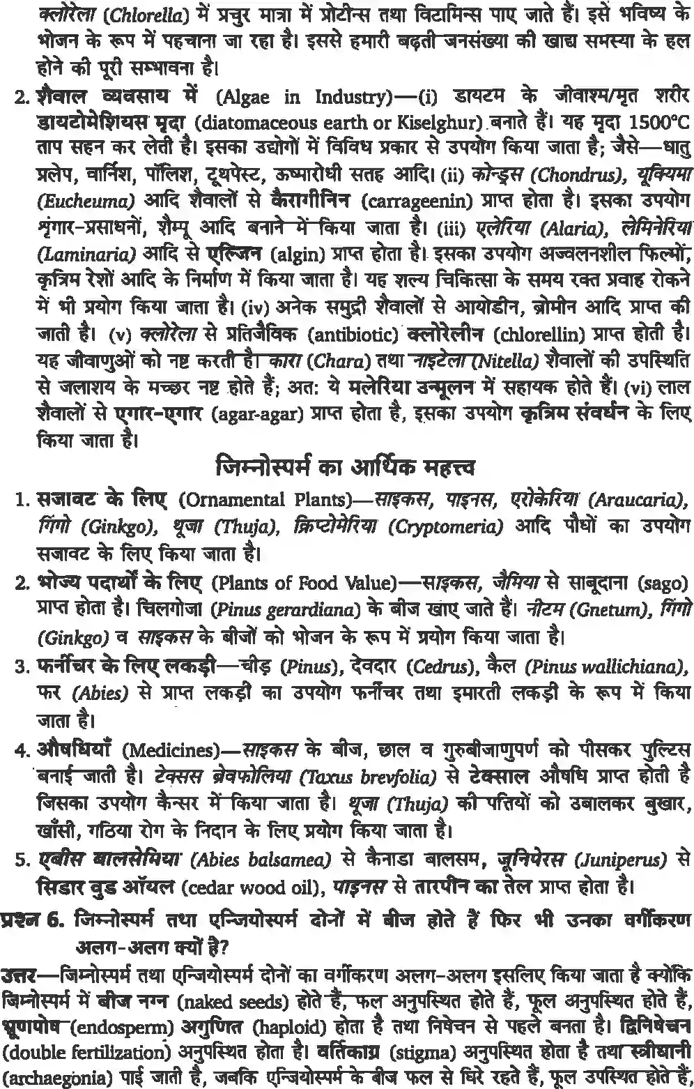NCERT-Solution-Class-11-जीव-विज्ञान-वनस्पति-जगत-4650-page-3