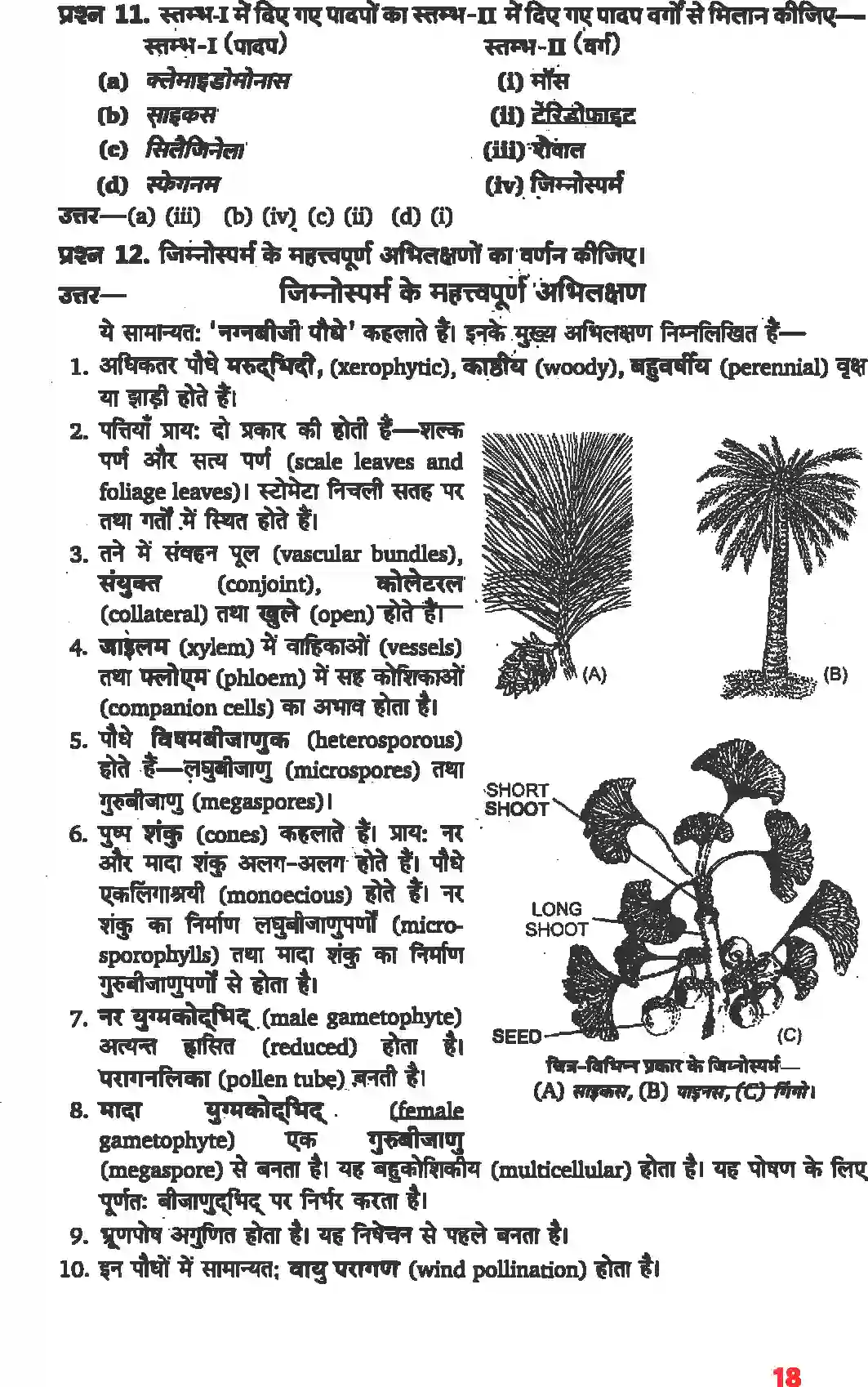 NCERT-Solution-Class-11-जीव-विज्ञान-वनस्पति-जगत-4650-page-7