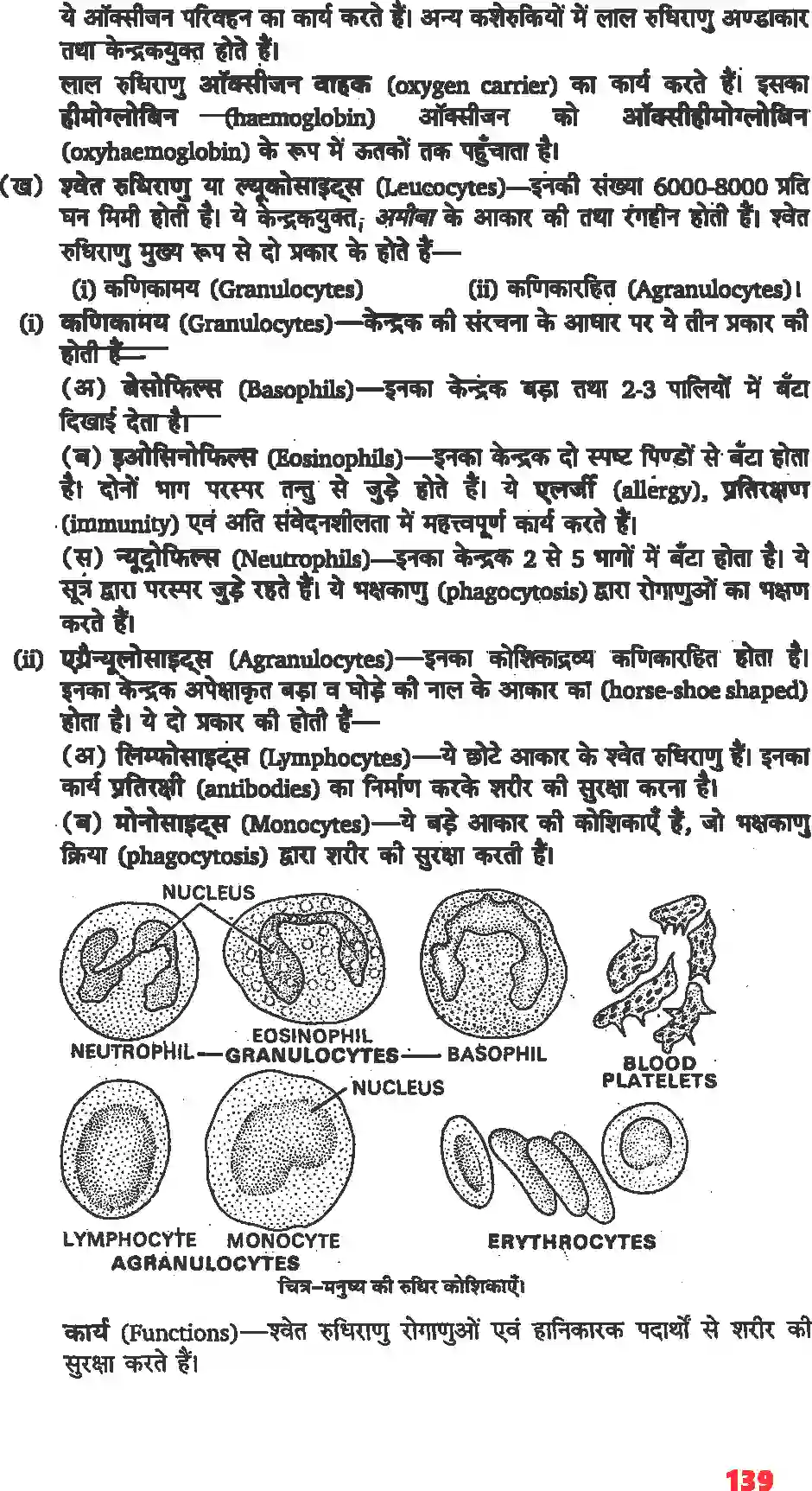NCERT-Solution-Class-11-जीव-विज्ञान-शरीर-द्रव-तथा-परिसंचरण-4665-page-2