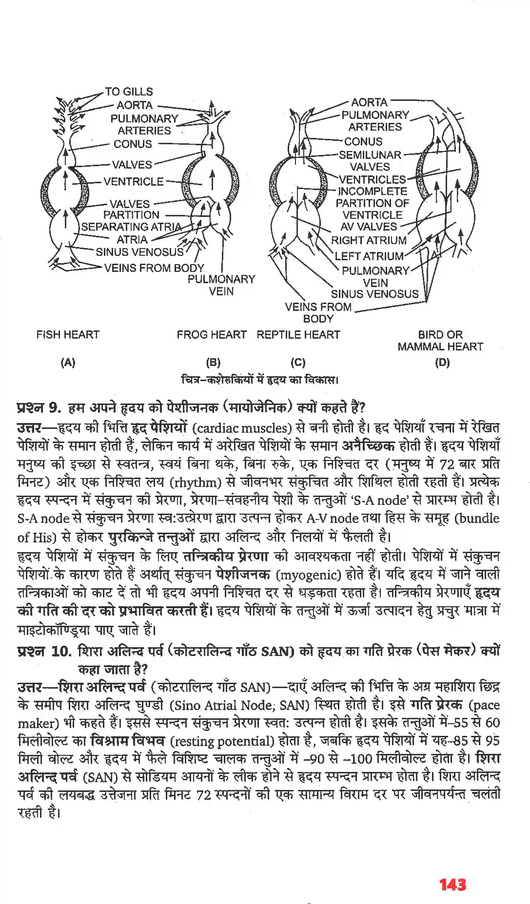 NCERT-Solution-Class-11-जीव-विज्ञान-शरीर-द्रव-तथा-परिसंचरण-4665-page-6