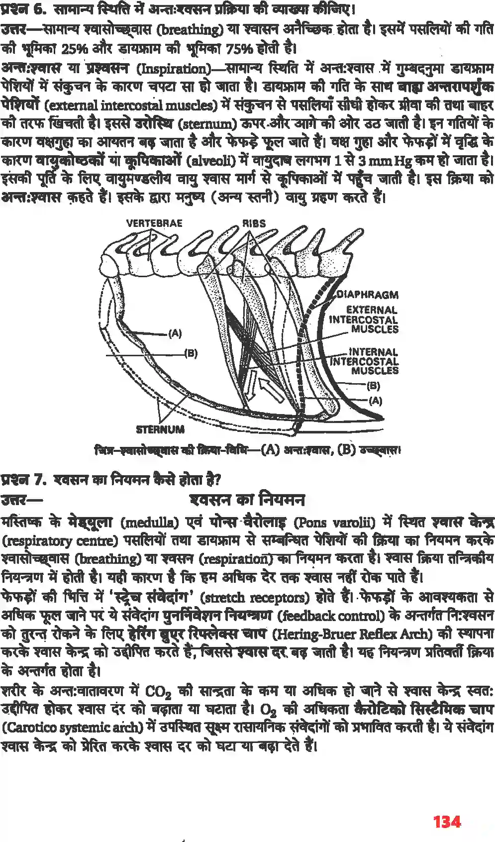 NCERT-Solution-Class-11-जीव-विज्ञान-श्वसन-और-गैसों-का-विनिमय-4664-page-4