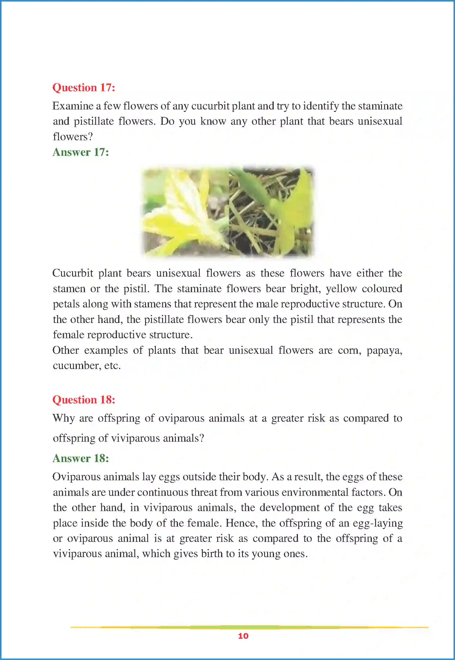 NCERT-Solution-Class-12-Biology-Chapter-1-Reproduction-in-Organisms-74-page-10