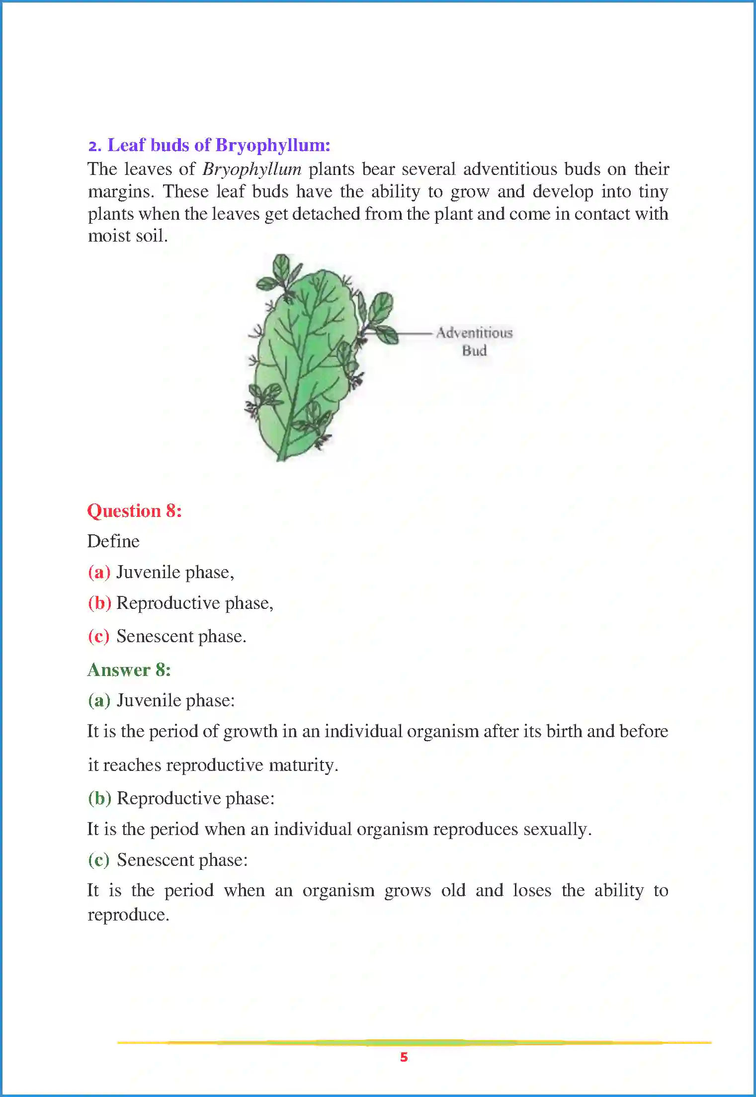 NCERT-Solution-Class-12-Biology-Chapter-1-Reproduction-in-Organisms-74-page-5