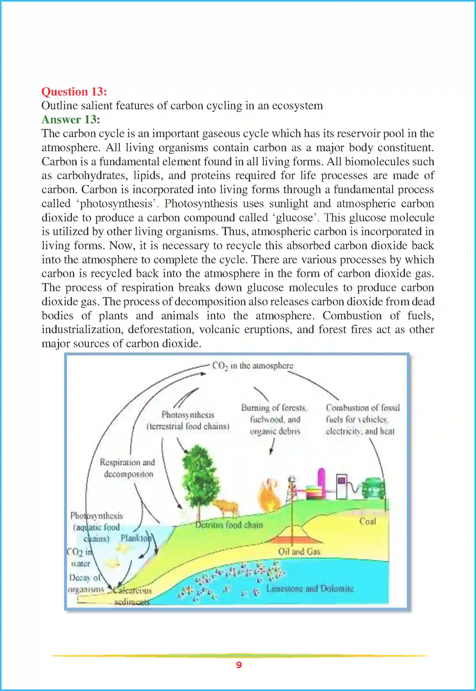 NCERT-Solution-Class-12-Biology-Chapter-14-Ecosystem-87-page-9