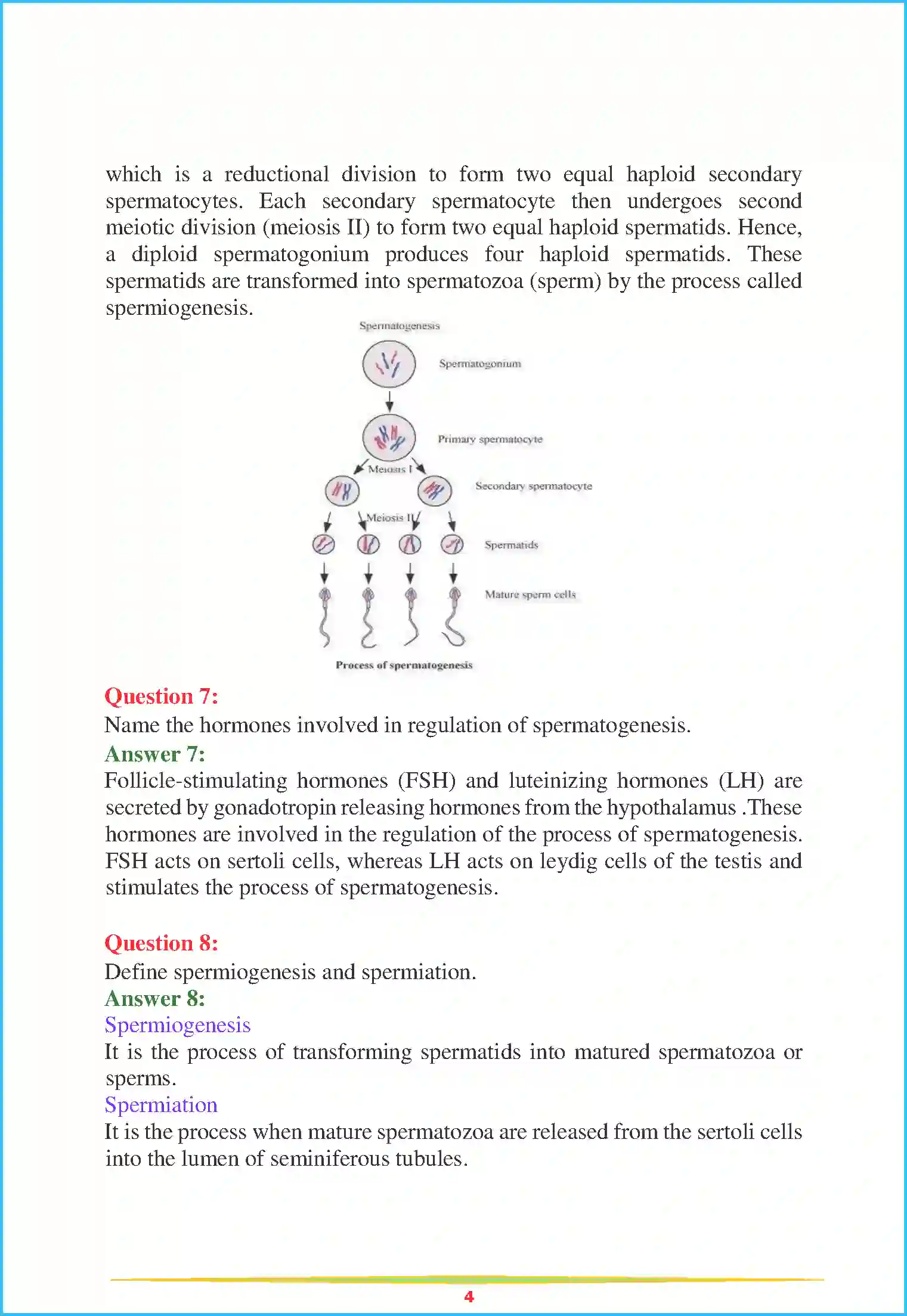 NCERT-Solution-Class-12-Biology-Chapter-3-Human-Reproduction-2248-page-4