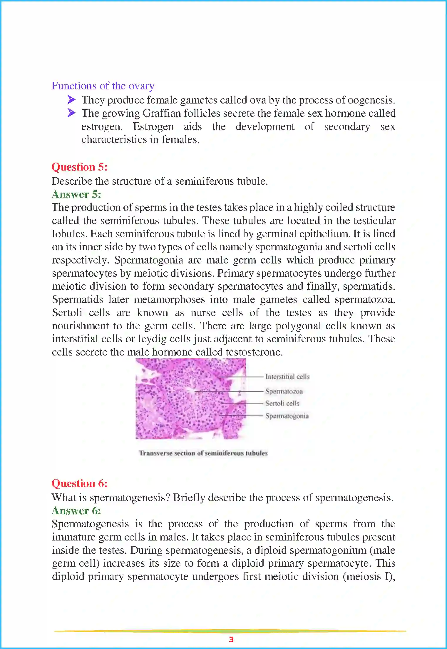 NCERT-Solution-Class-12-Biology-Chapter-3-Human-Reproduction-76-page-3