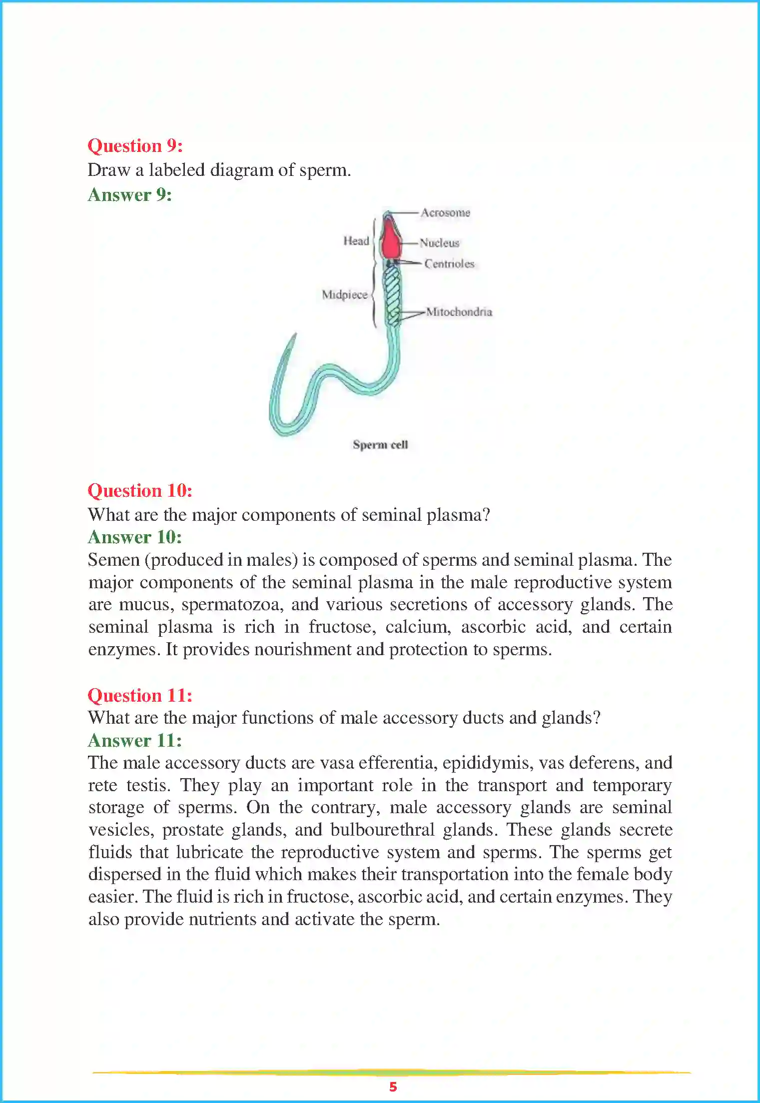 NCERT-Solution-Class-12-Biology-Chapter-3-Human-Reproduction-76-page-5
