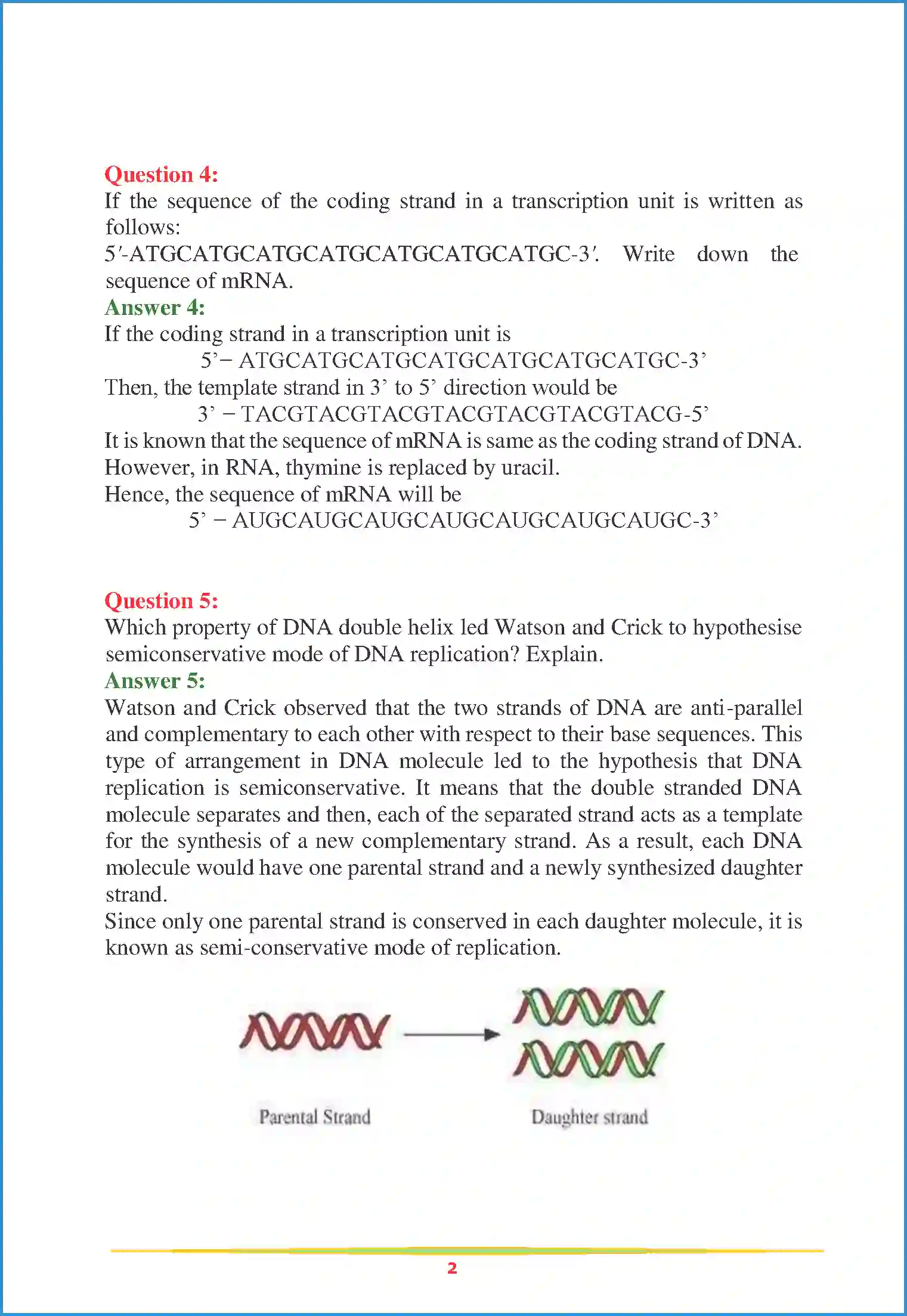 NCERT-Solution-Class-12-Biology-Chapter-6-Molecular-Basis-of-Inheritance-2251-page-2