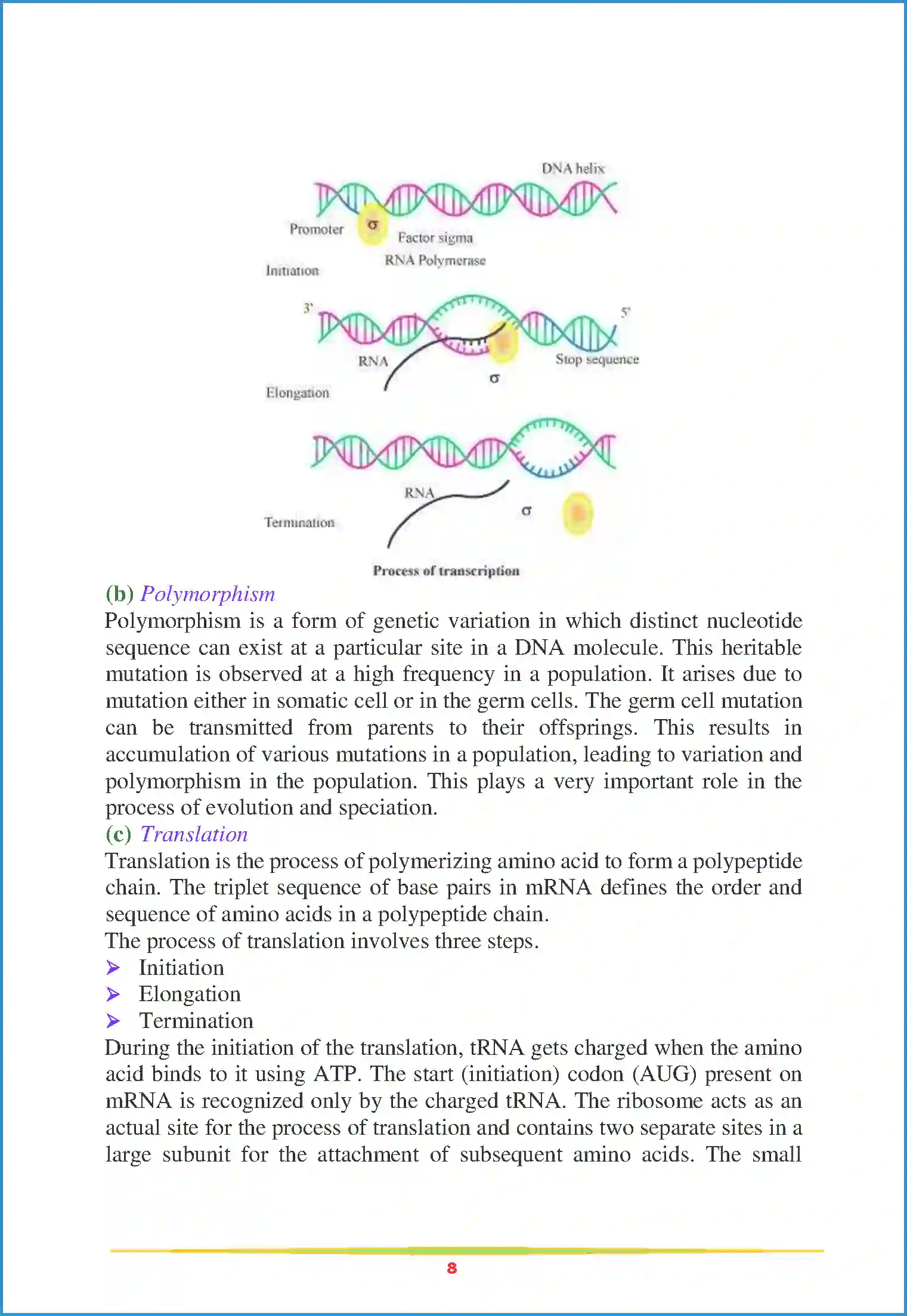 NCERT-Solution-Class-12-Biology-Chapter-6-Molecular-Basis-of-Inheritance-79-page-8