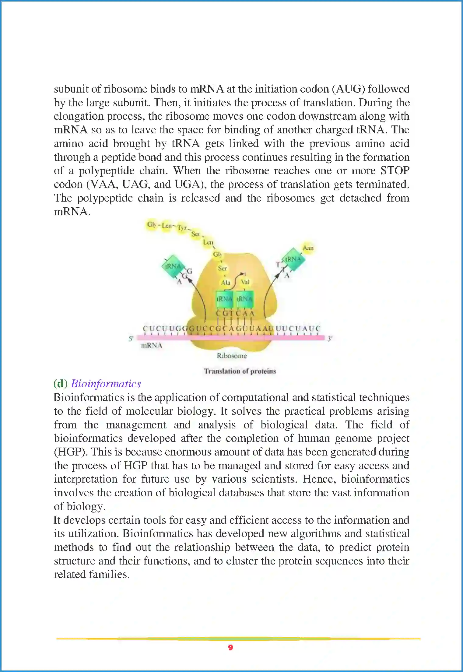 NCERT-Solution-Class-12-Biology-Chapter-6-Molecular-Basis-of-Inheritance-79-page-9