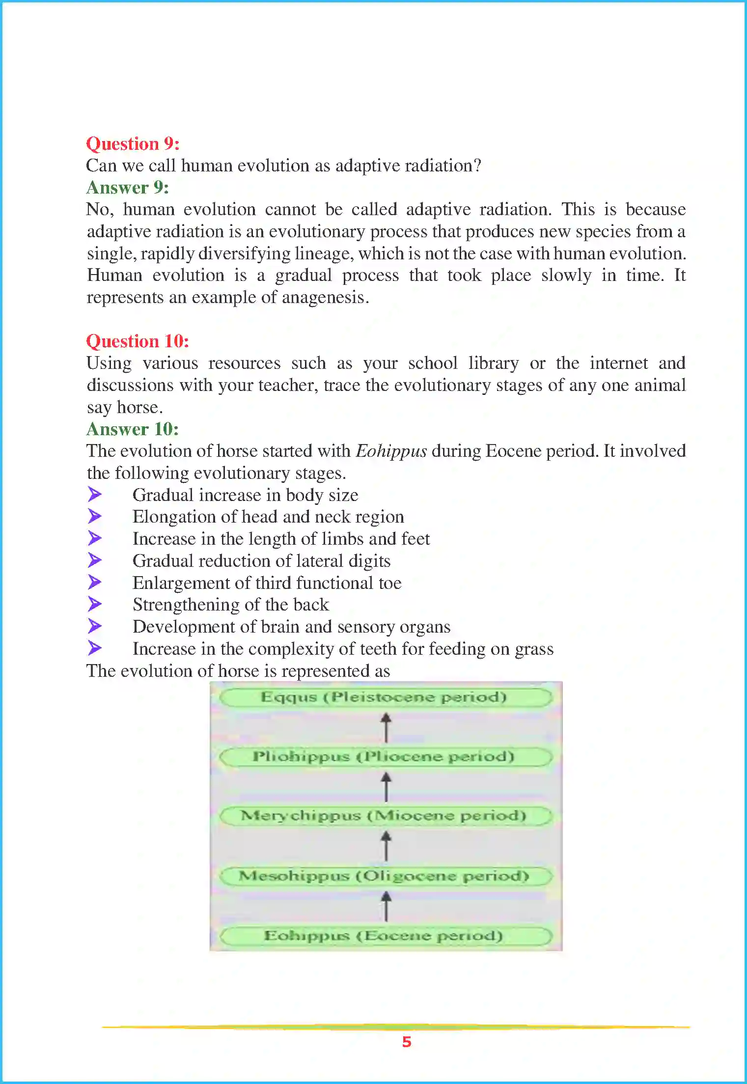 NCERT-Solution-Class-12-Biology-Chapter-7-Evolution-2252-page-5
