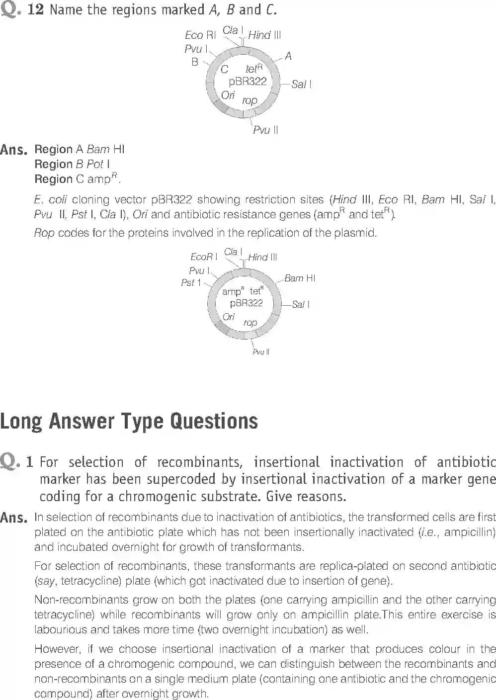 NCERT-Solution-Class-12-Biology-Exemplar-Biotechnology-Principles-and-Processes-327-page-12