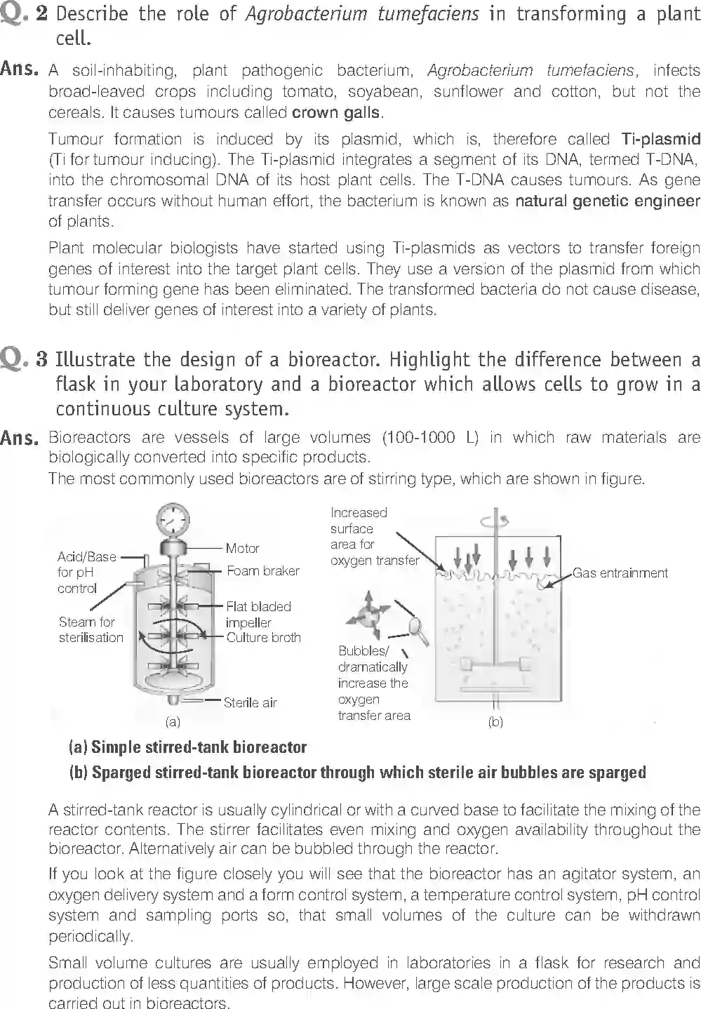NCERT-Solution-Class-12-Biology-Exemplar-Biotechnology-Principles-and-Processes-327-page-13