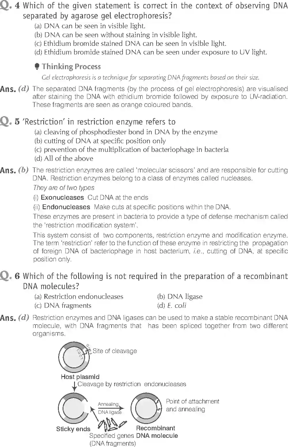 NCERT-Solution-Class-12-Biology-Exemplar-Biotechnology-Principles-and-Processes-327-page-2