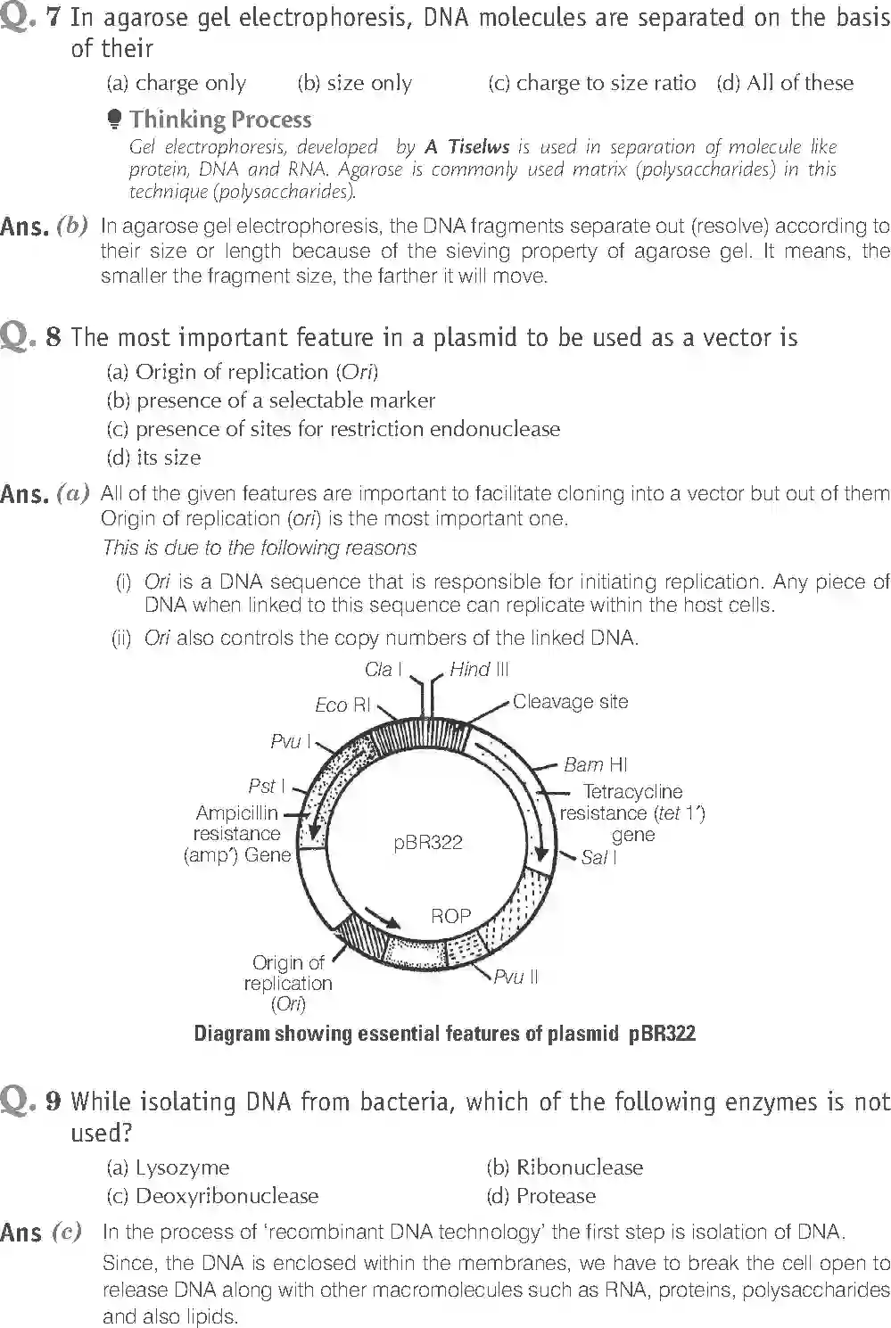 NCERT-Solution-Class-12-Biology-Exemplar-Biotechnology-Principles-and-Processes-327-page-3