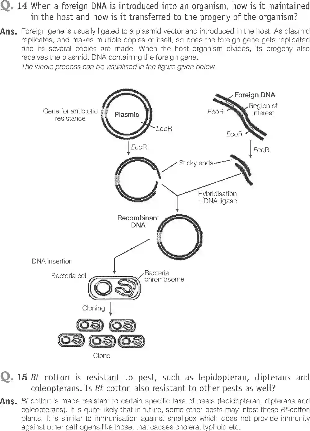 NCERT-Solution-Class-12-Biology-Exemplar-Biotechnology-and-Its-Applications-328-page-12