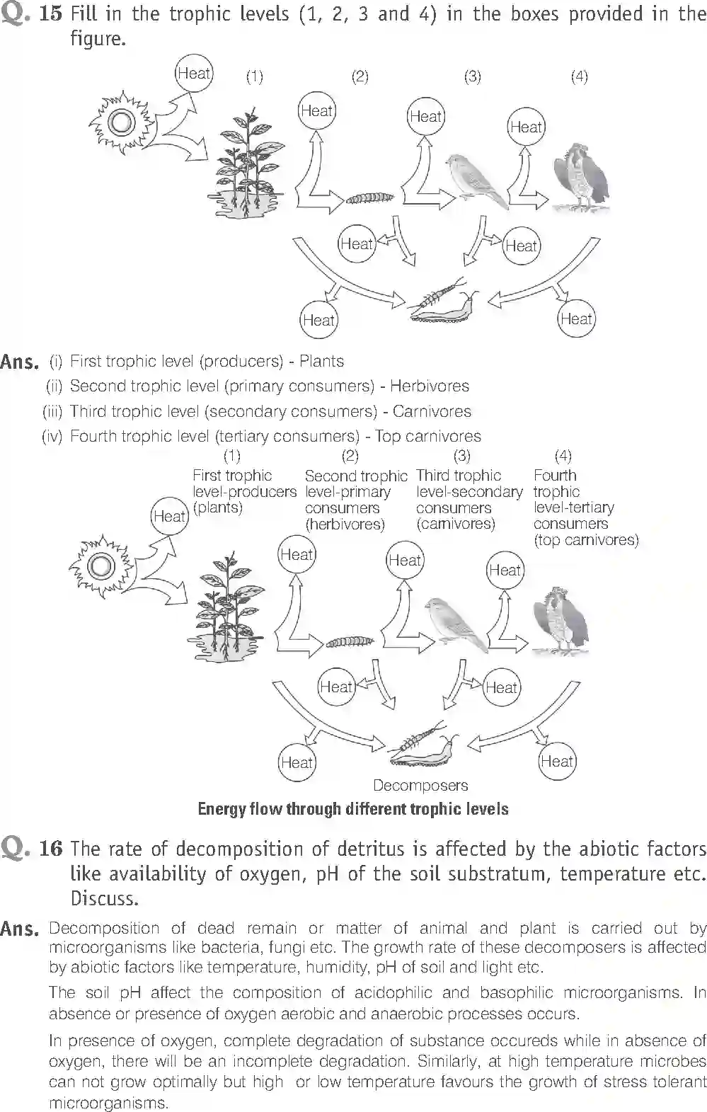 NCERT-Solution-Class-12-Biology-Exemplar-Ecosystem-2502-page-13