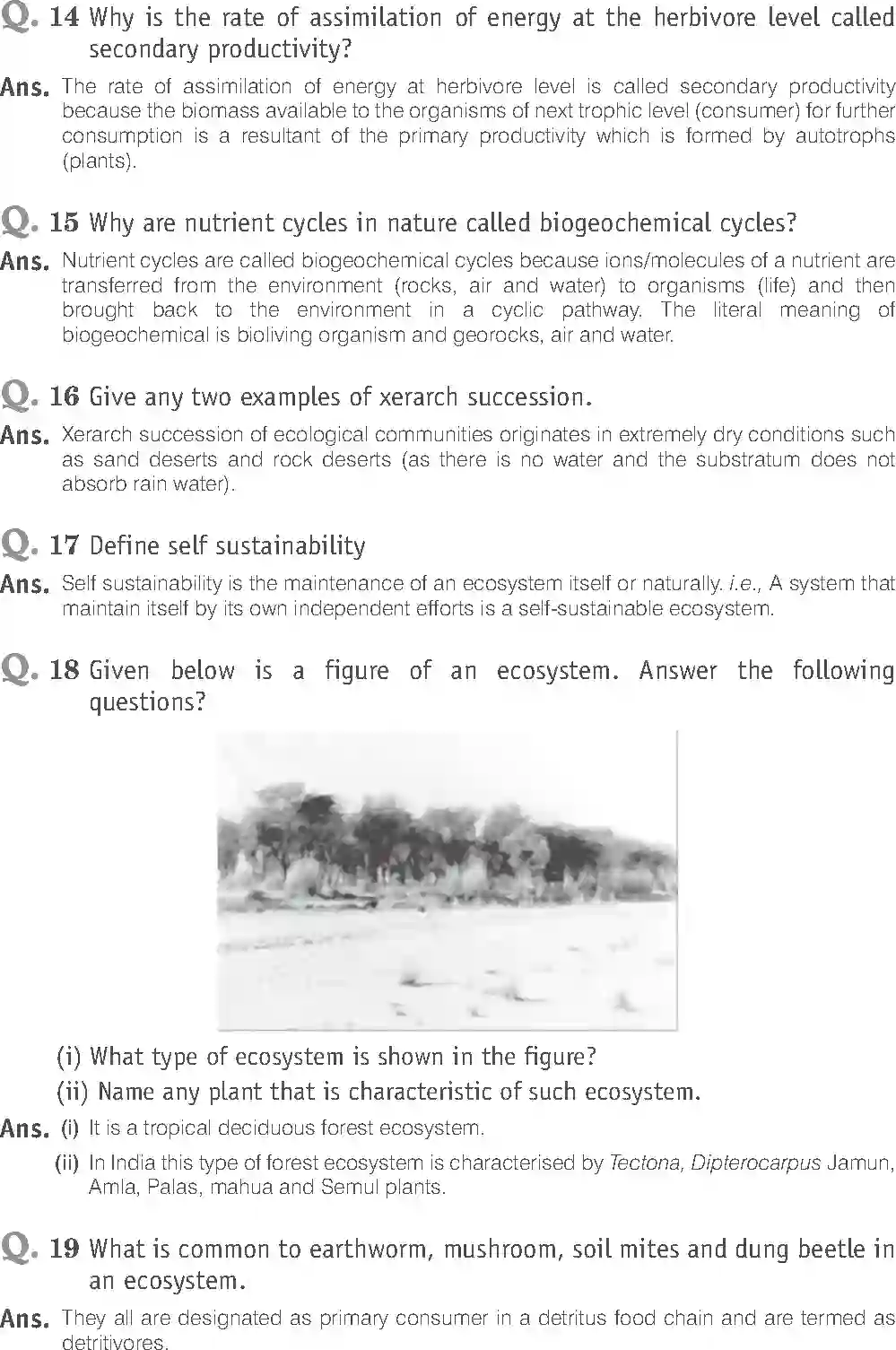 NCERT-Solution-Class-12-Biology-Exemplar-Ecosystem-2502-page-9