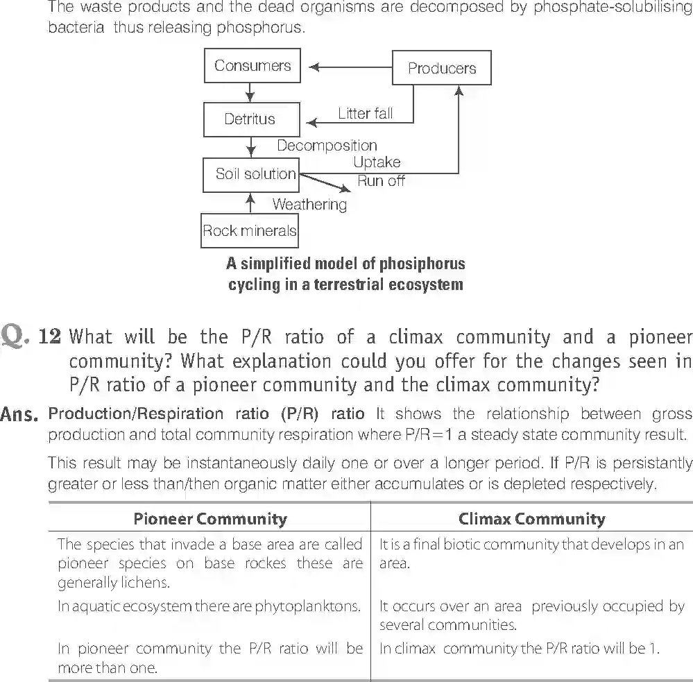 NCERT-Solution-Class-12-Biology-Exemplar-Ecosystem-330-page-19
