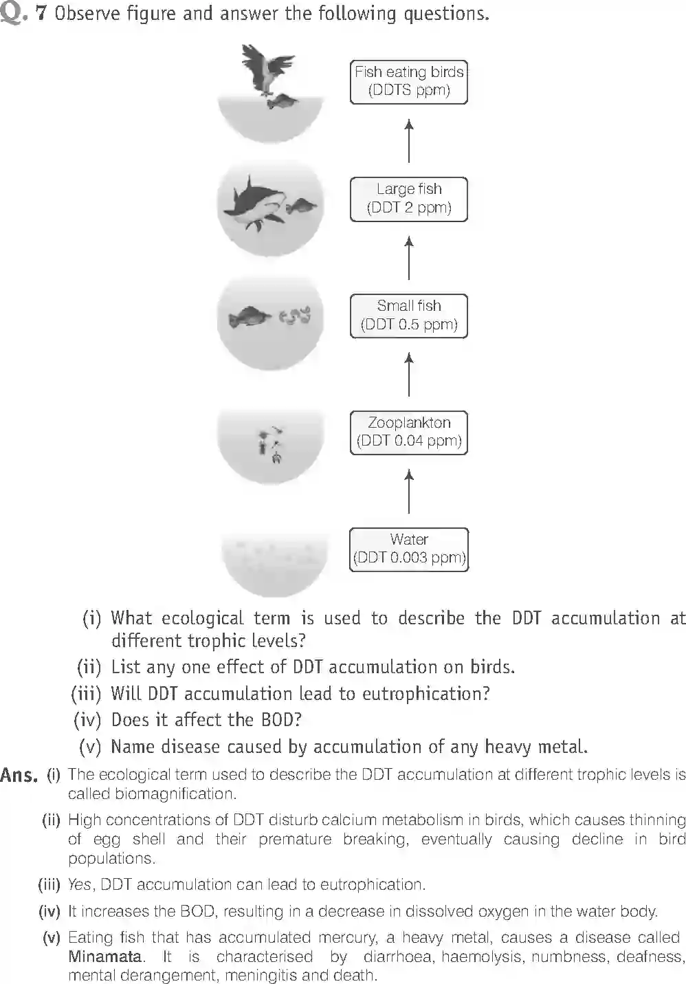 NCERT-Solution-Class-12-Biology-Exemplar-Environmental-Issues-332-page-13