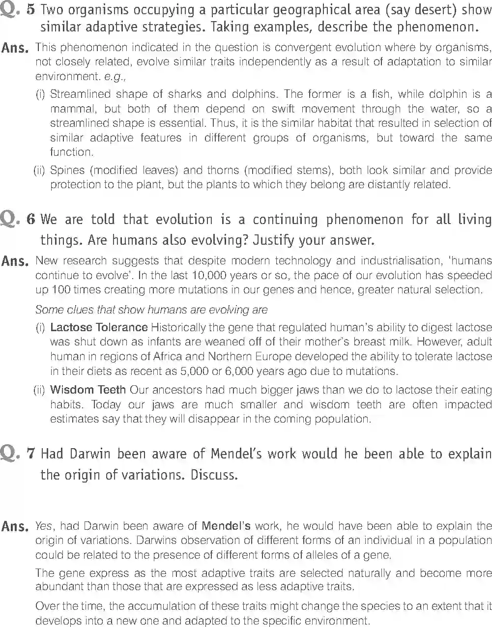 NCERT-Solution-Class-12-Biology-Exemplar-Evolution-323-page-15