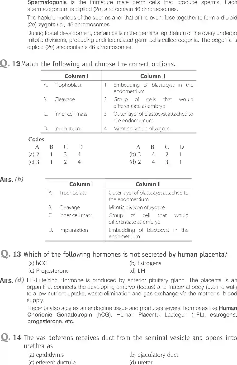 NCERT-Solution-Class-12-Biology-Exemplar-Human-Reproduction-319-page-6