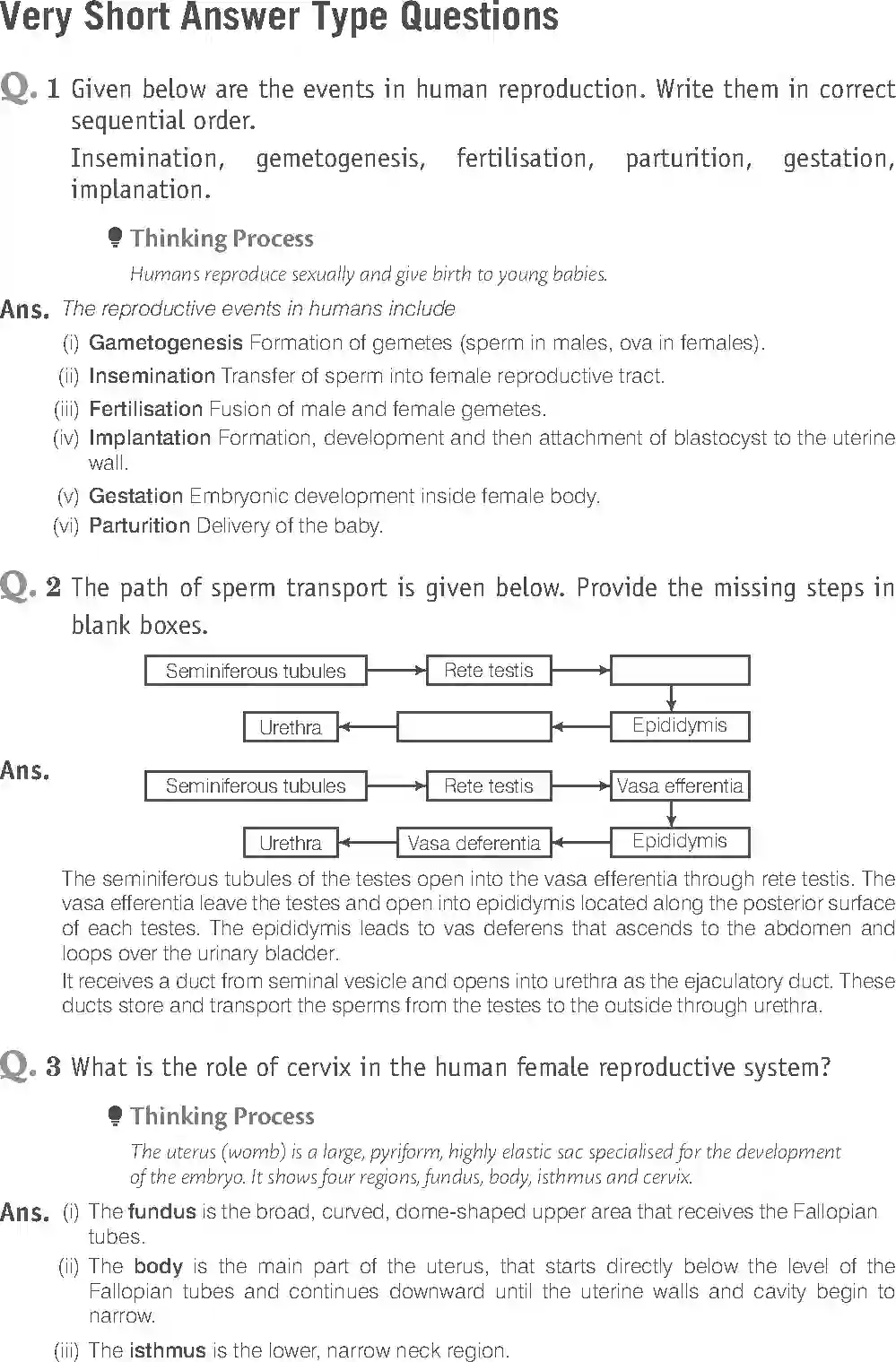 NCERT-Solution-Class-12-Biology-Exemplar-Human-Reproduction-319-page-8