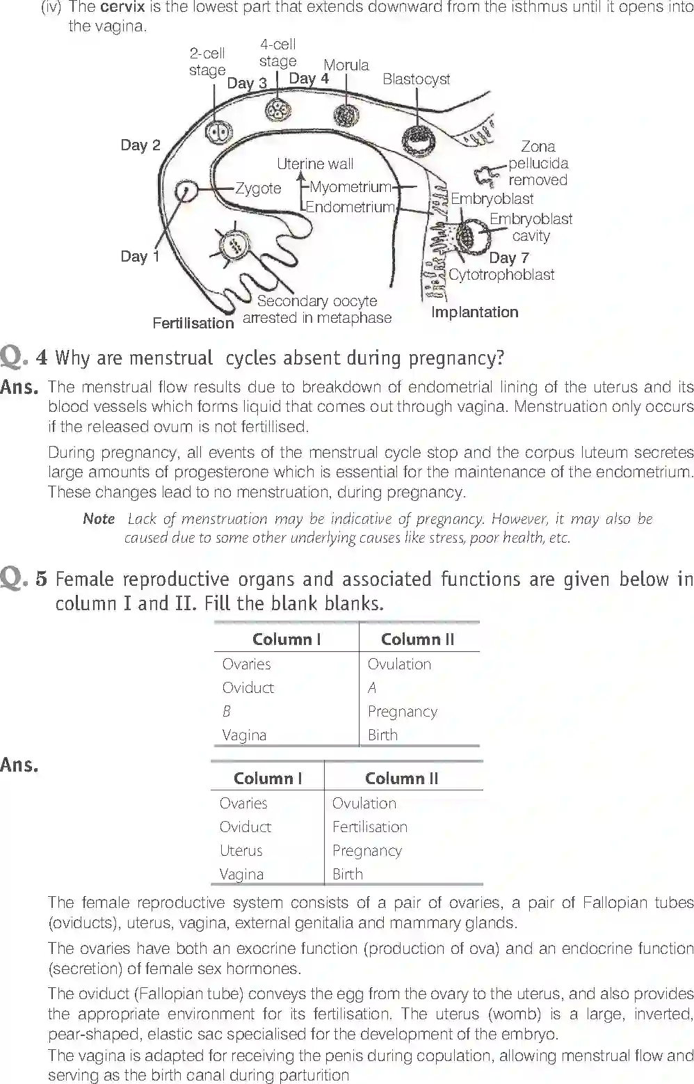 NCERT-Solution-Class-12-Biology-Exemplar-Human-Reproduction-319-page-9