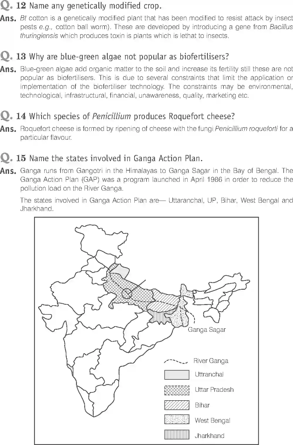 NCERT-Solution-Class-12-Biology-Exemplar-Microbes-in-Human-Welfare-326-page-9
