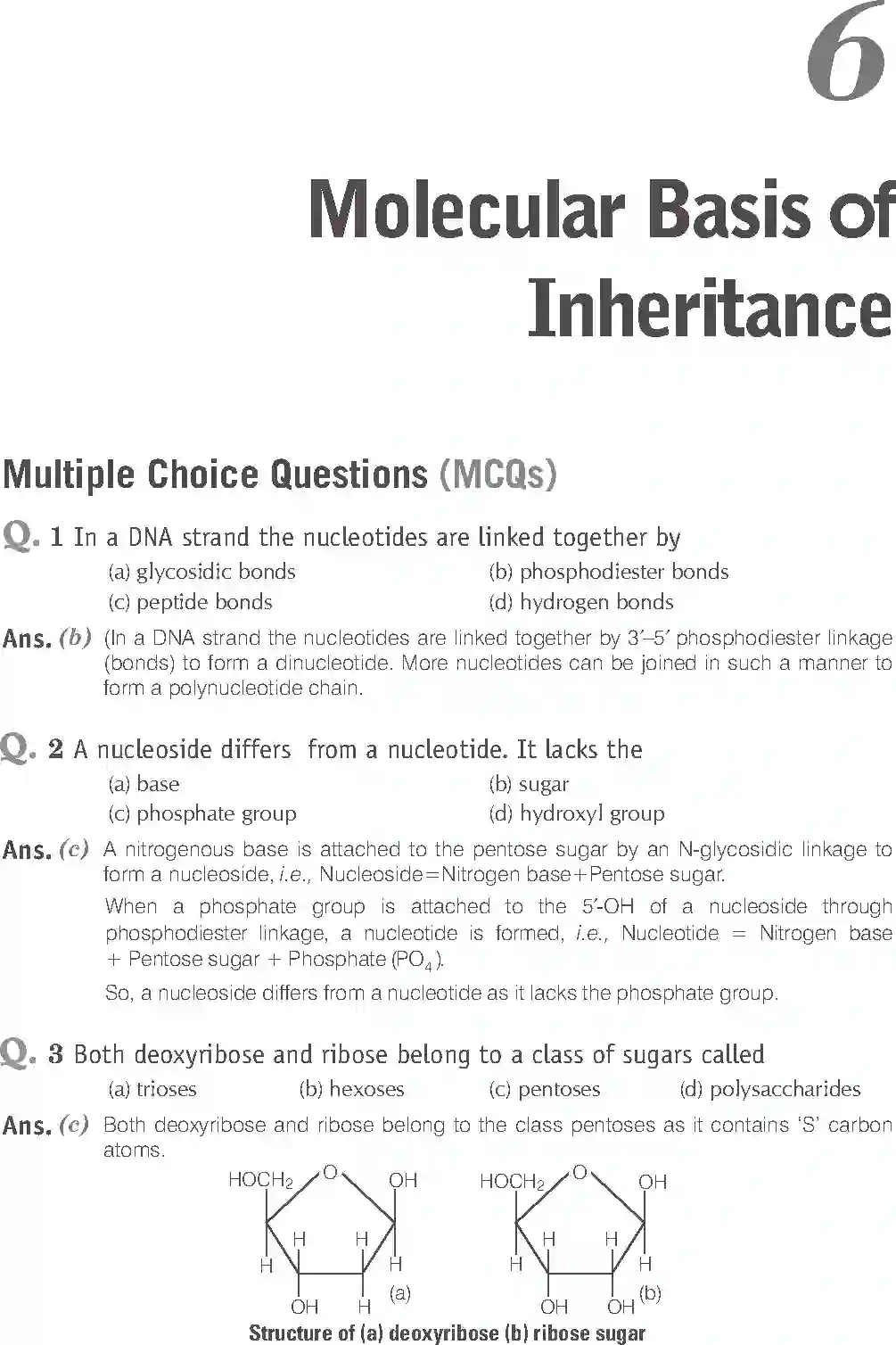 NCERT-Solution-Class-12-Biology-Exemplar-Molecular-Basis-of-Inheritance-322-page-1