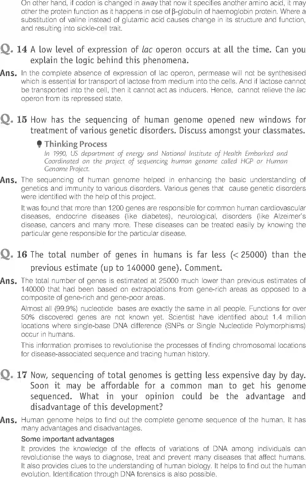 NCERT-Solution-Class-12-Biology-Exemplar-Molecular-Basis-of-Inheritance-322-page-15