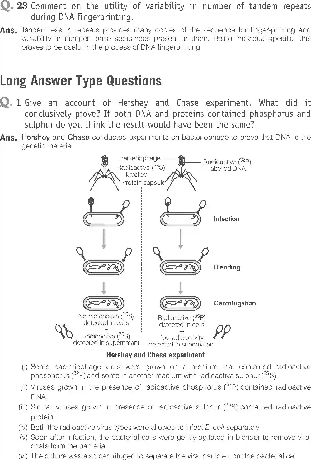 NCERT-Solution-Class-12-Biology-Exemplar-Molecular-Basis-of-Inheritance-322-page-17