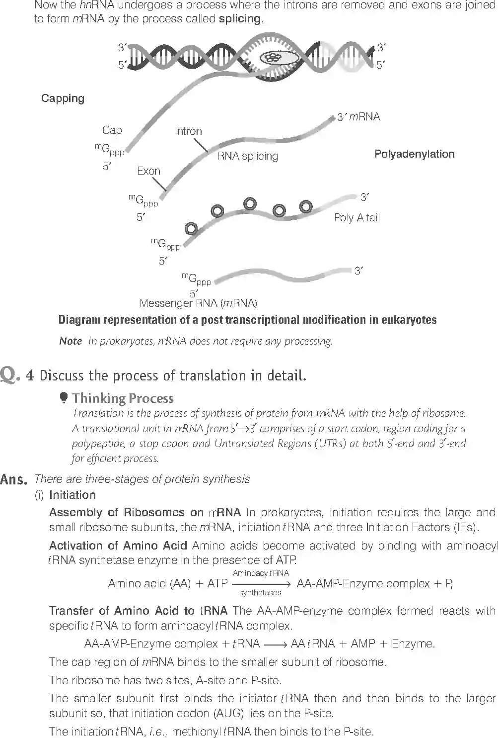 NCERT-Solution-Class-12-Biology-Exemplar-Molecular-Basis-of-Inheritance-322-page-19
