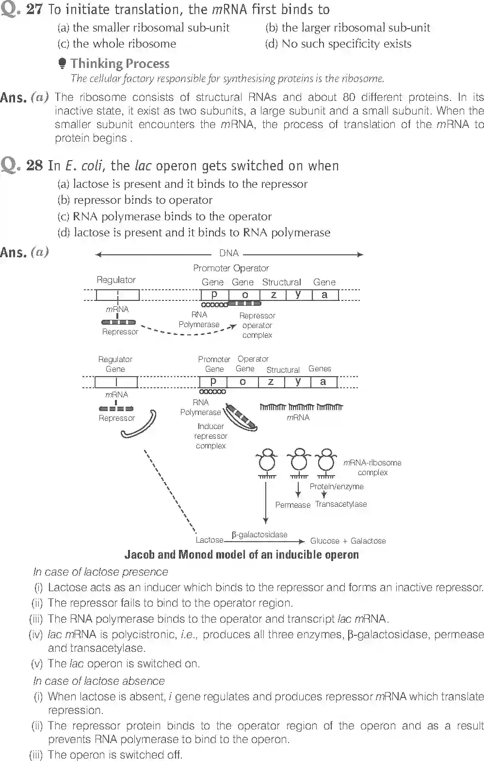 NCERT-Solution-Class-12-Biology-Exemplar-Molecular-Basis-of-Inheritance-322-page-9