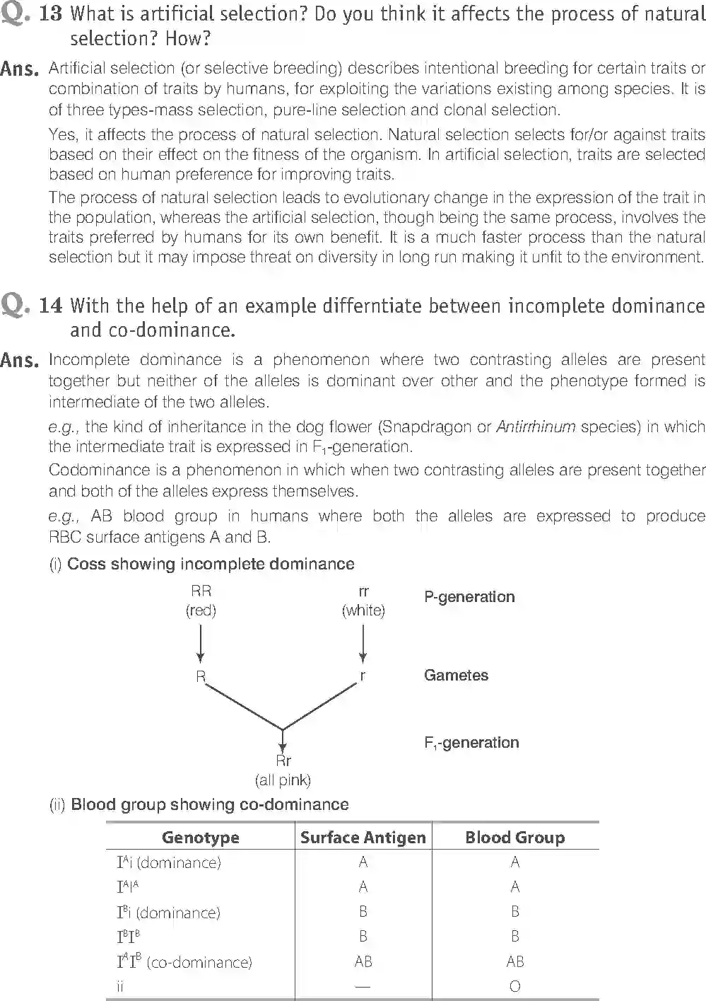 NCERT-Solution-Class-12-Biology-Exemplar-Principle-of-Inheritance-and-Variations-321-page-20