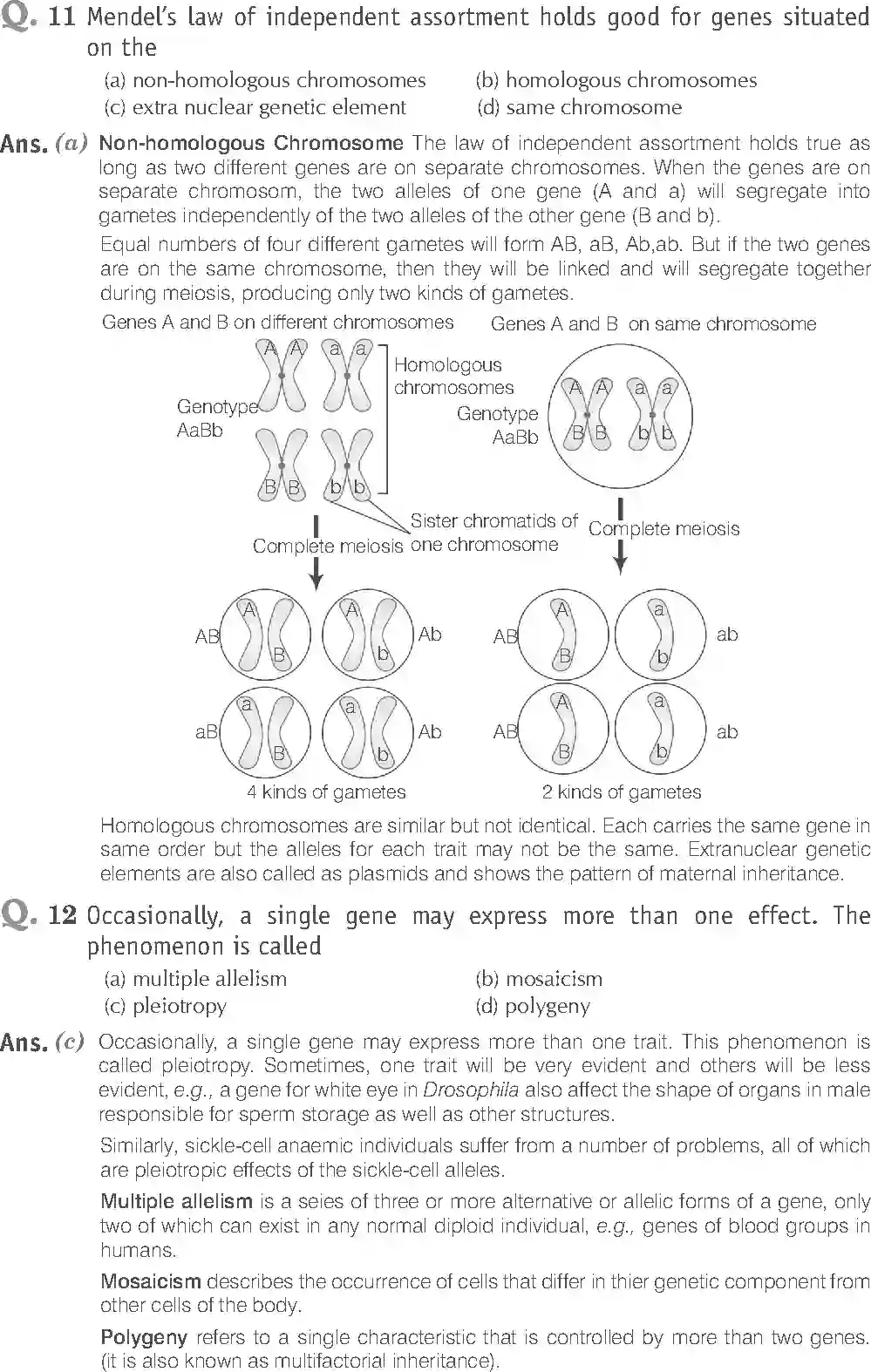NCERT-Solution-Class-12-Biology-Exemplar-Principle-of-Inheritance-and-Variations-321-page-6