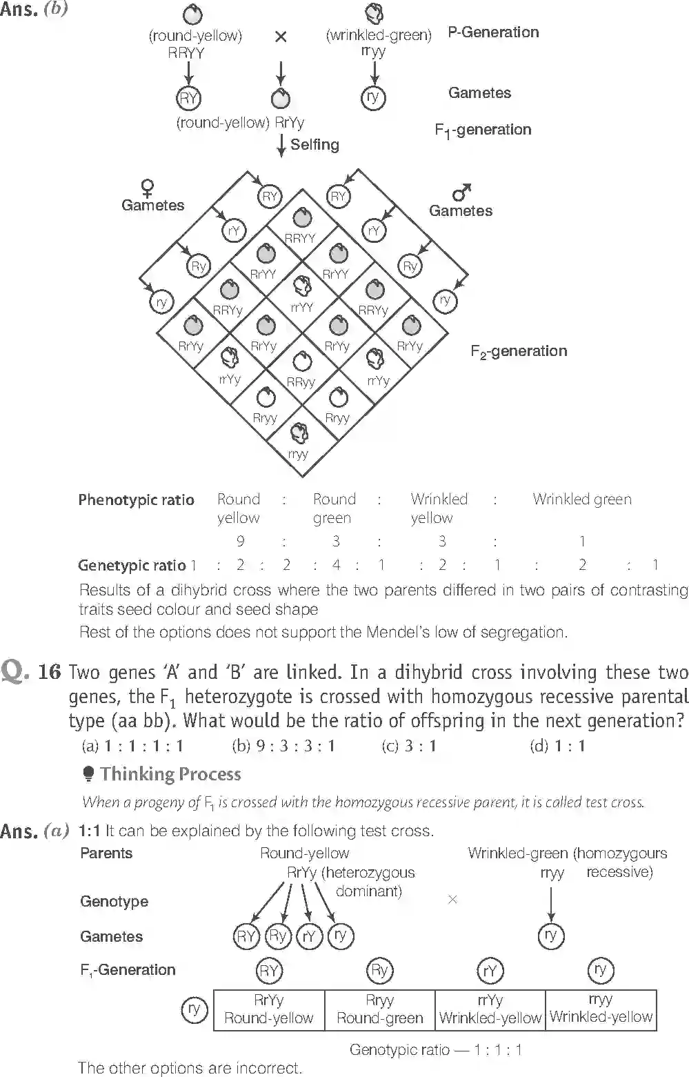 NCERT-Solution-Class-12-Biology-Exemplar-Principle-of-Inheritance-and-Variations-321-page-8